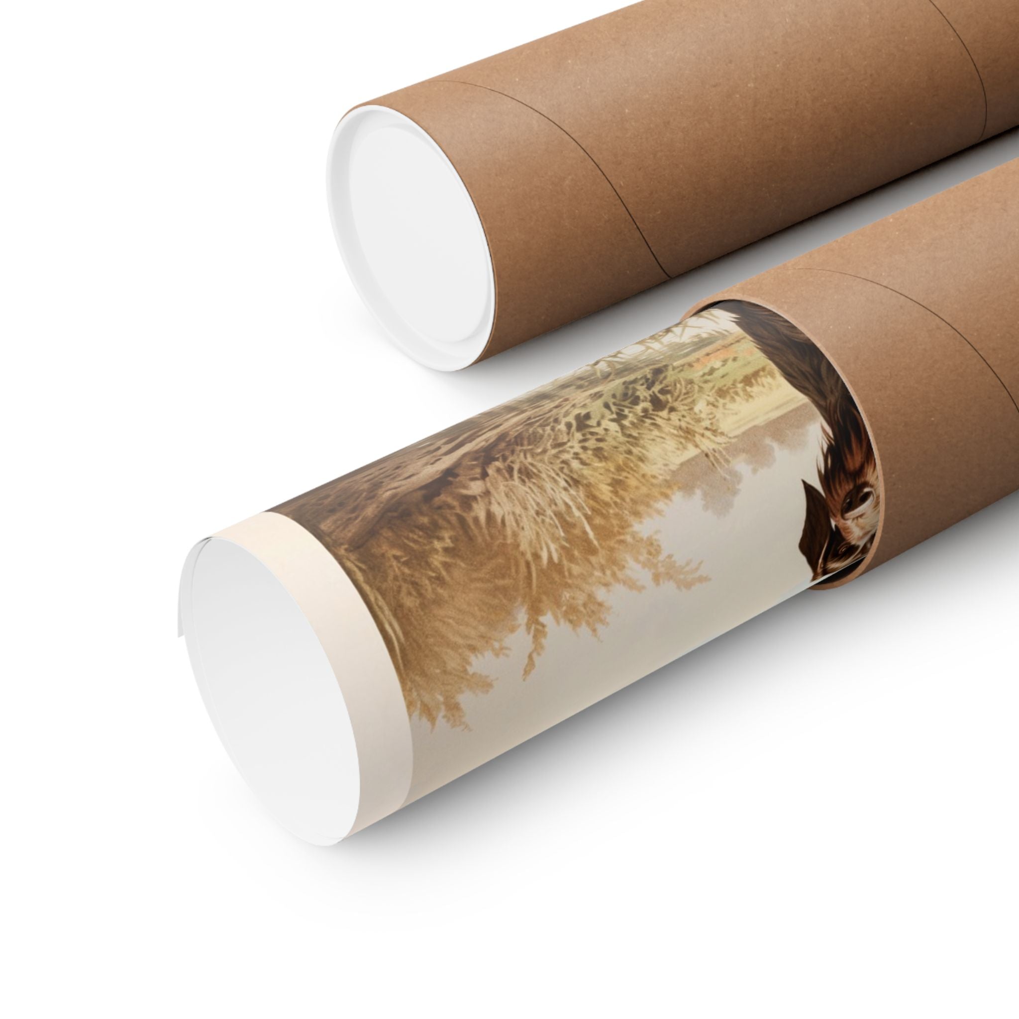 German Wirehaired Pointer- CFA Edition