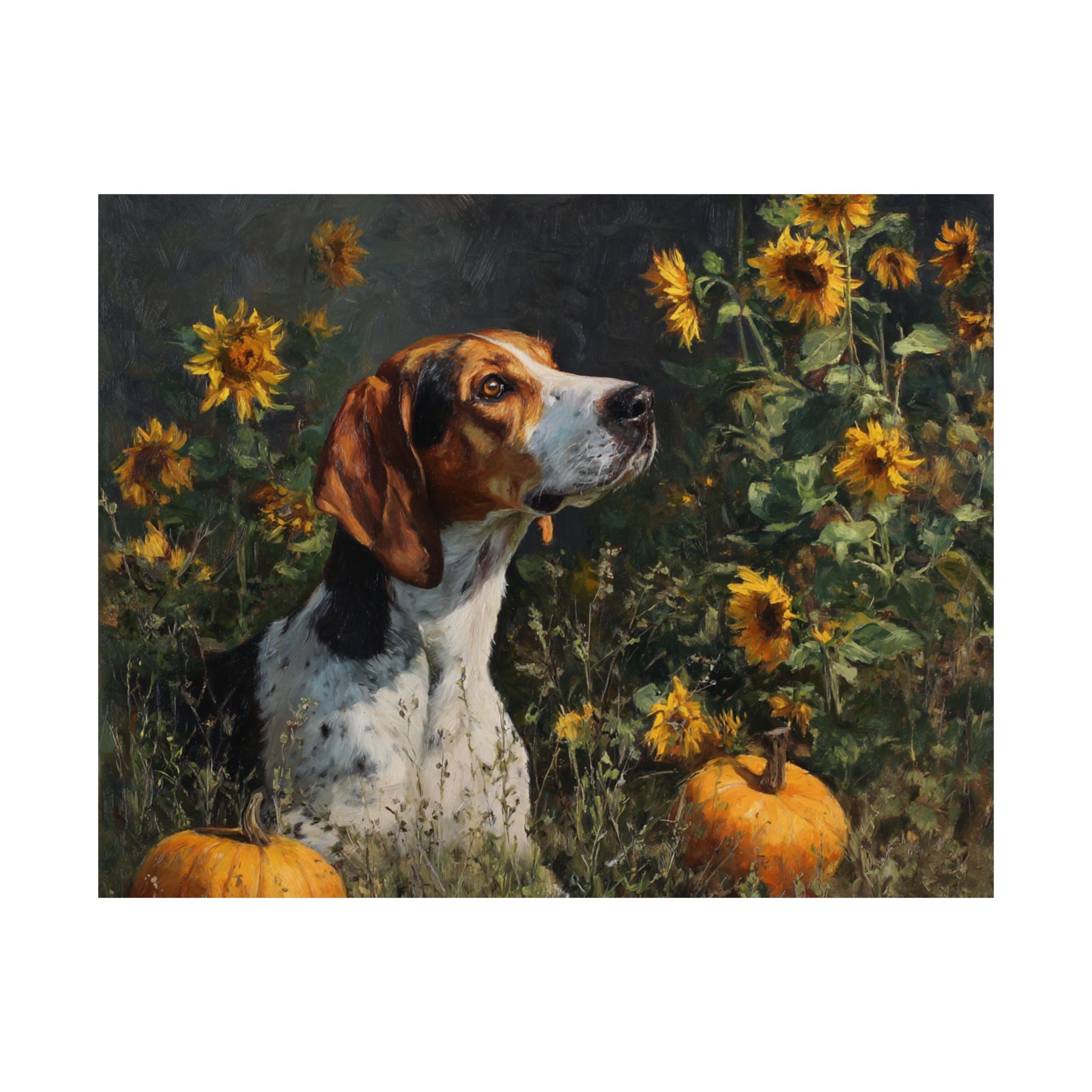 Hound Dog 3- Sunflower Season Collection