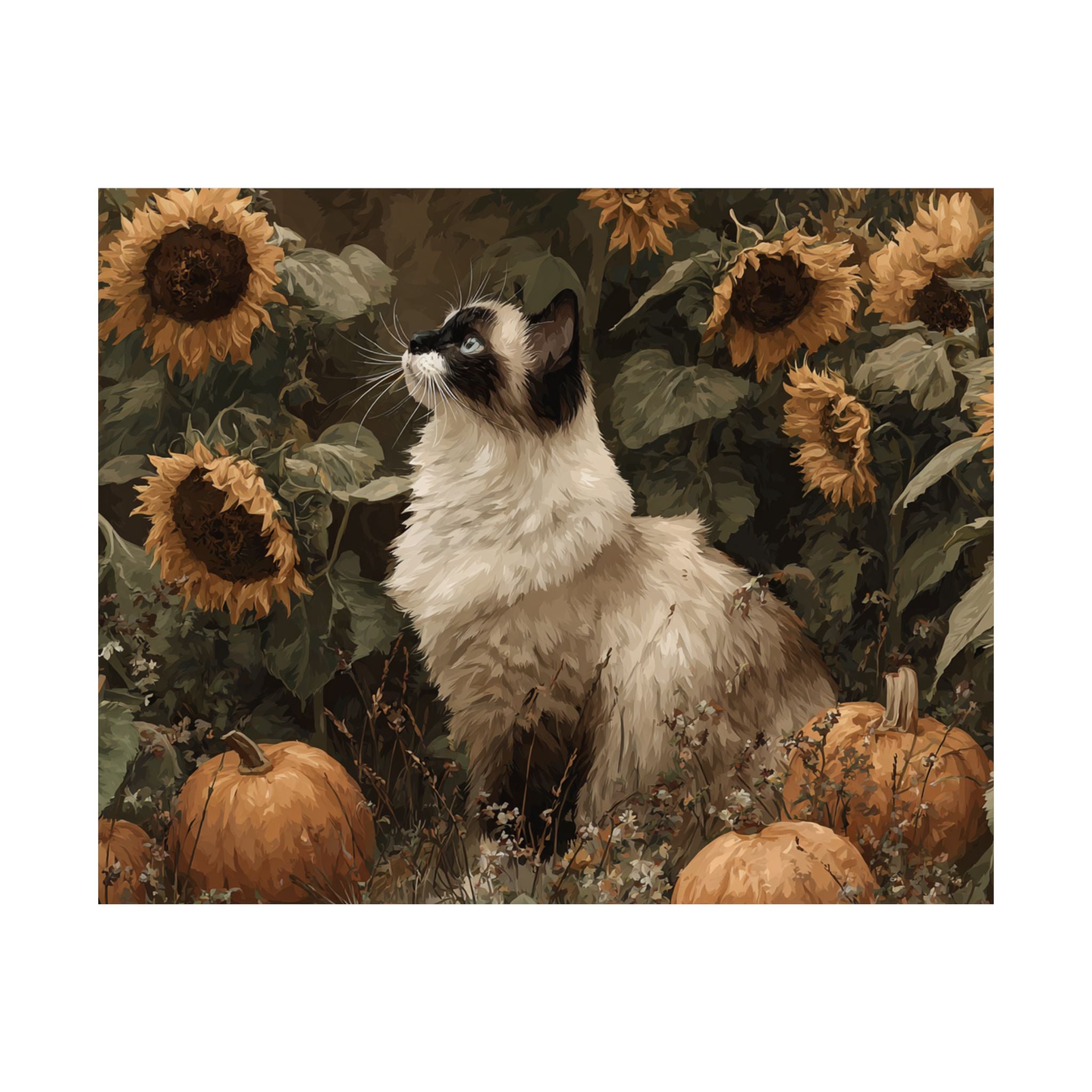 Ragdoll 1- Sunflower Season Collection