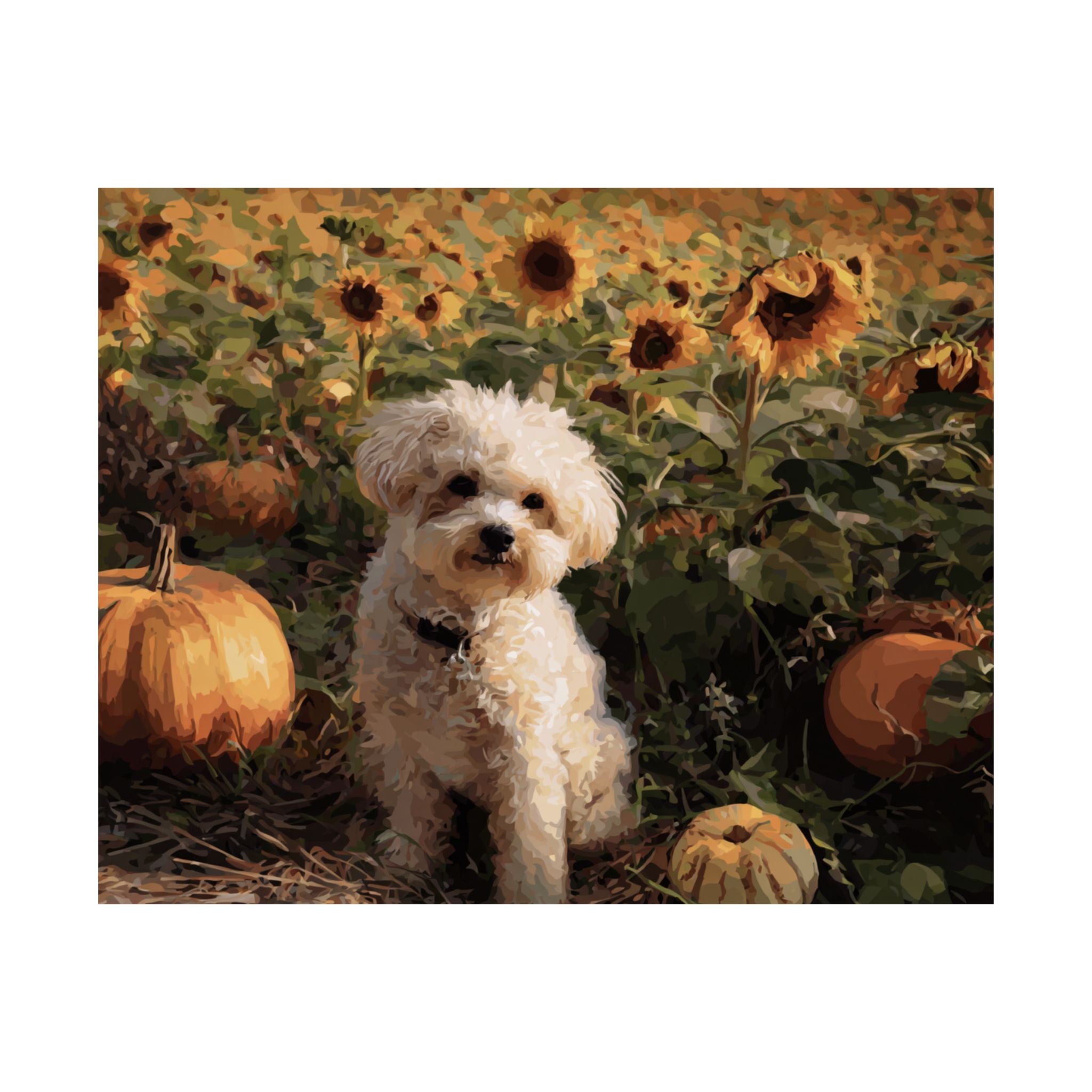 Mini Poodle 3- Sunflower Season Collection