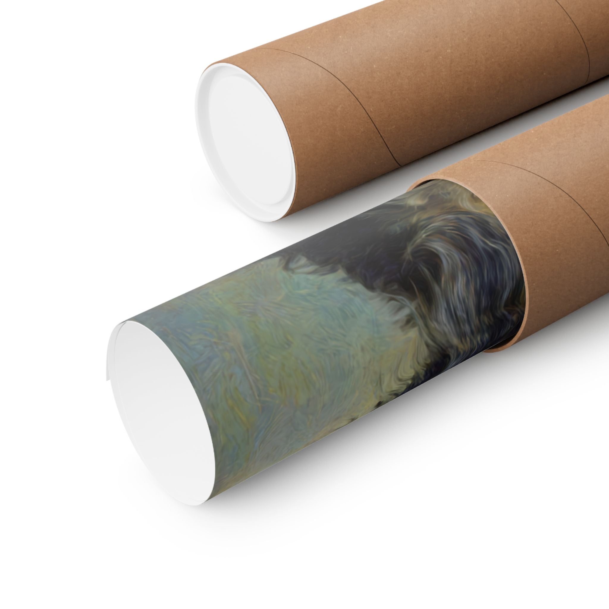 Aussiedoodle 2- Pawty Animals Collection