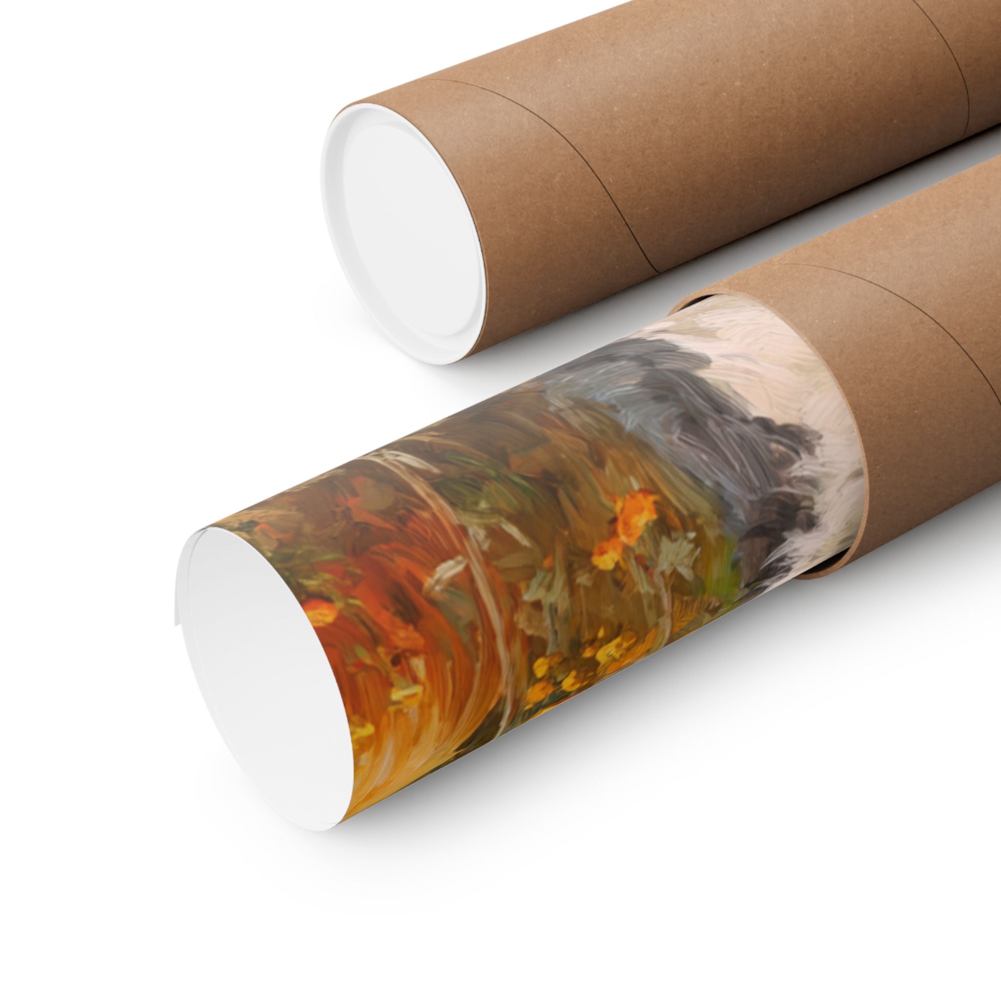 Aussiedoodle 2- Pumpkin Patch Collection