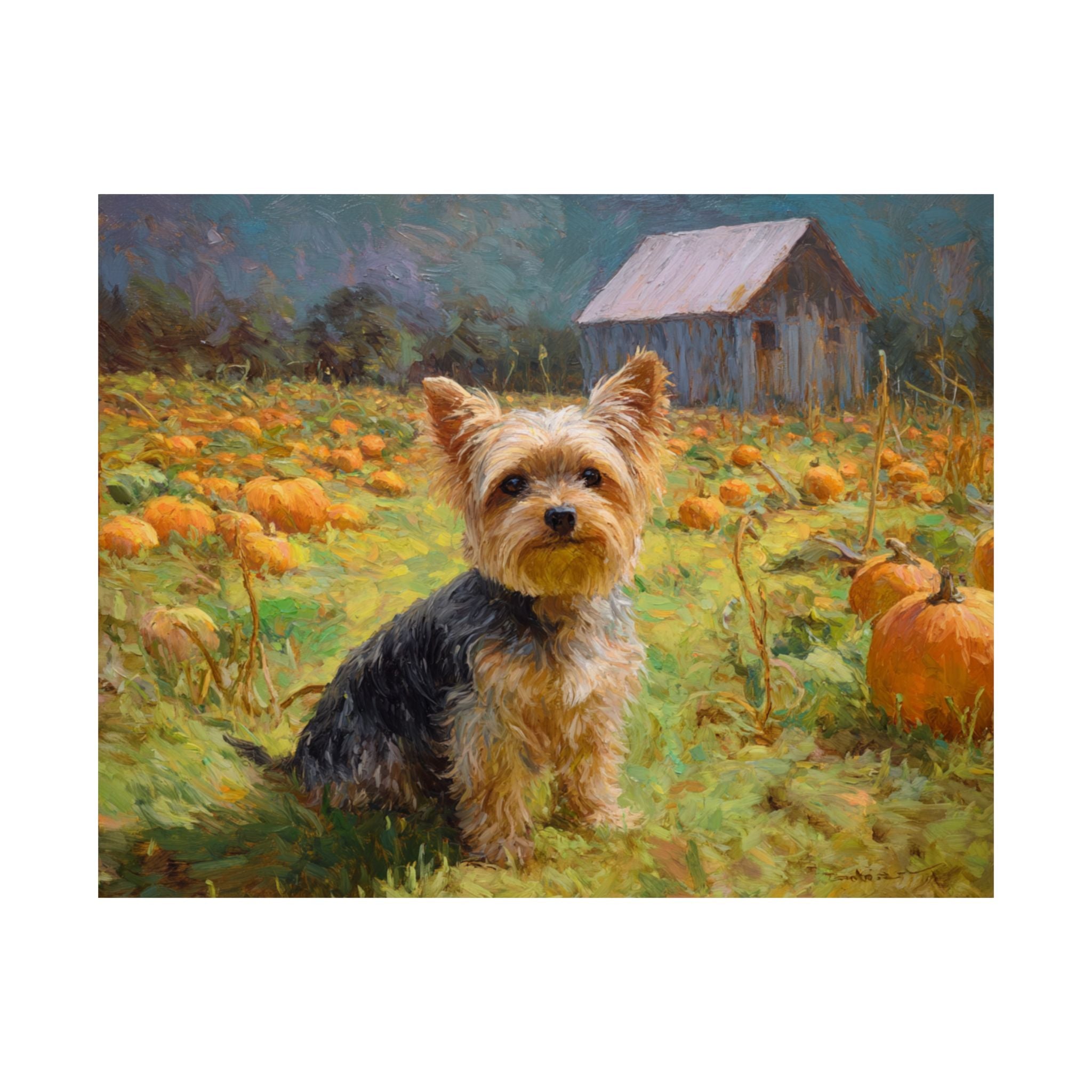 Yorkshire Terrier 1- Pumpkin Patch Collection