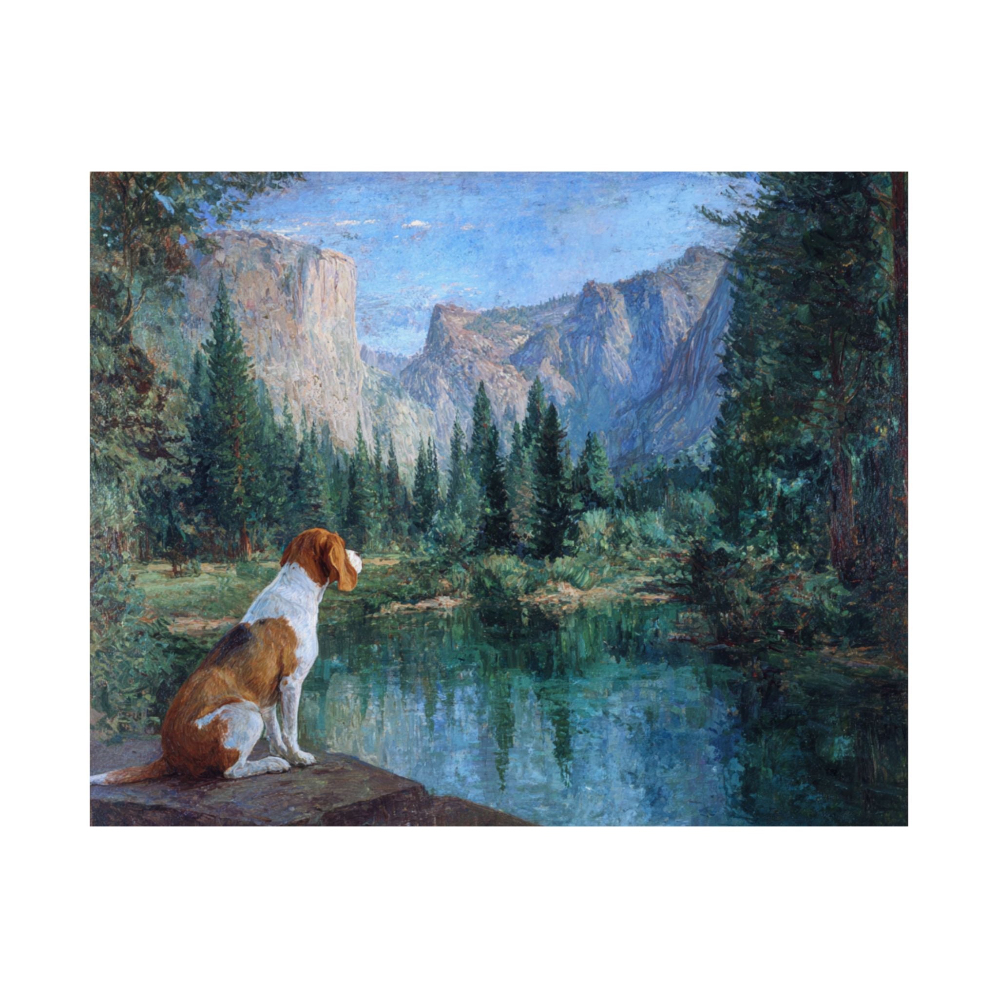 Beagle 3- Adventure Paws Collection