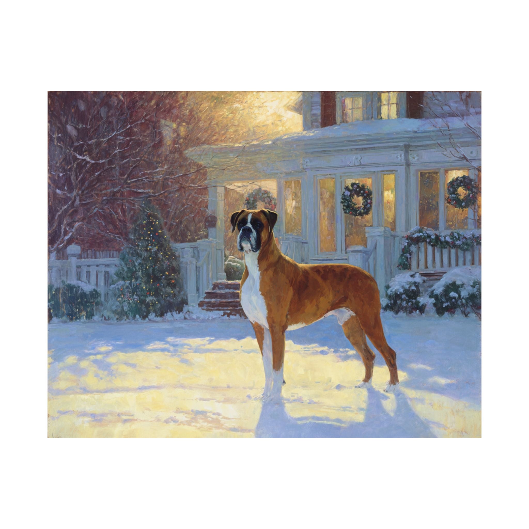 Boxer 7- Home for the Holidays Collection