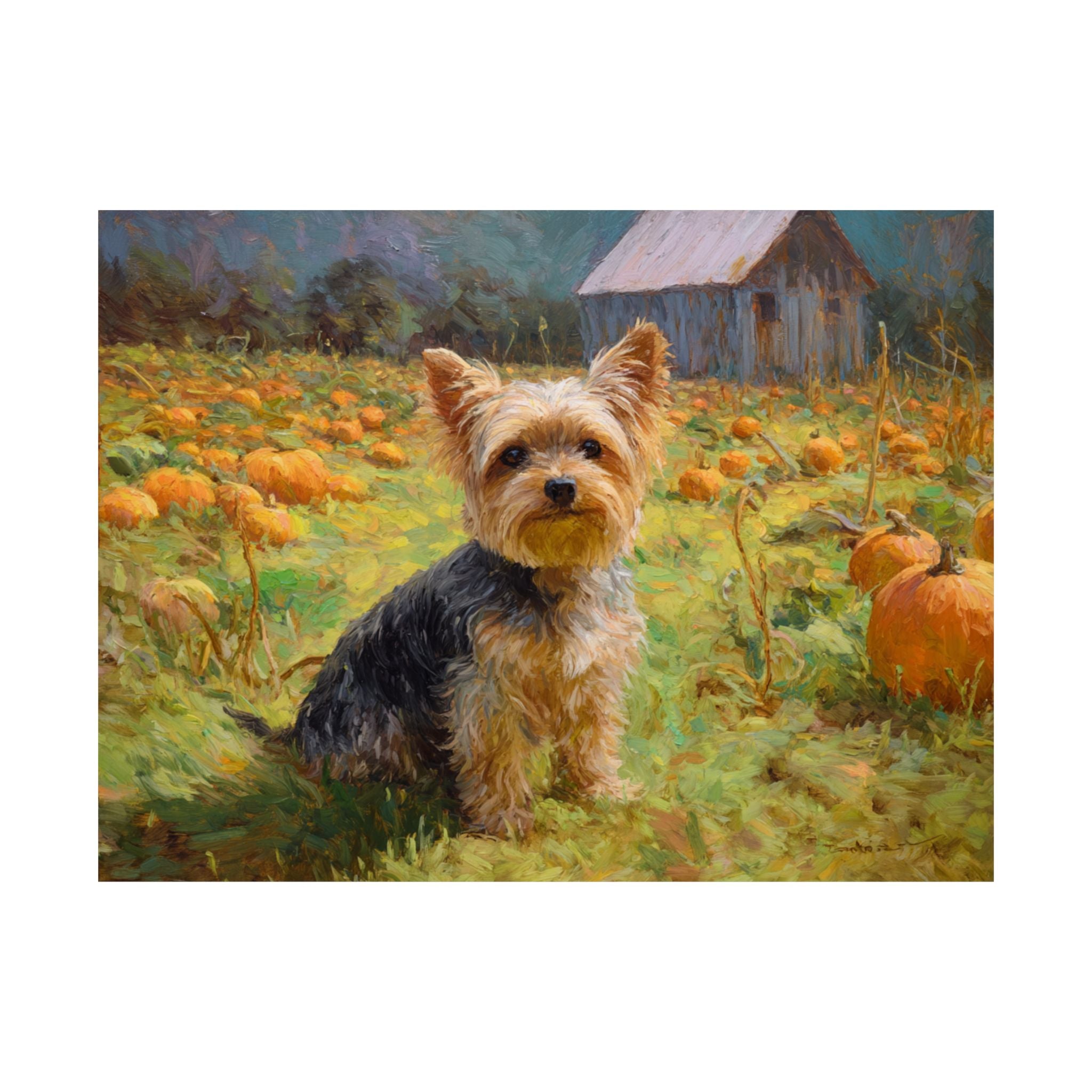 Yorkshire Terrier 1- Pumpkin Patch Collection