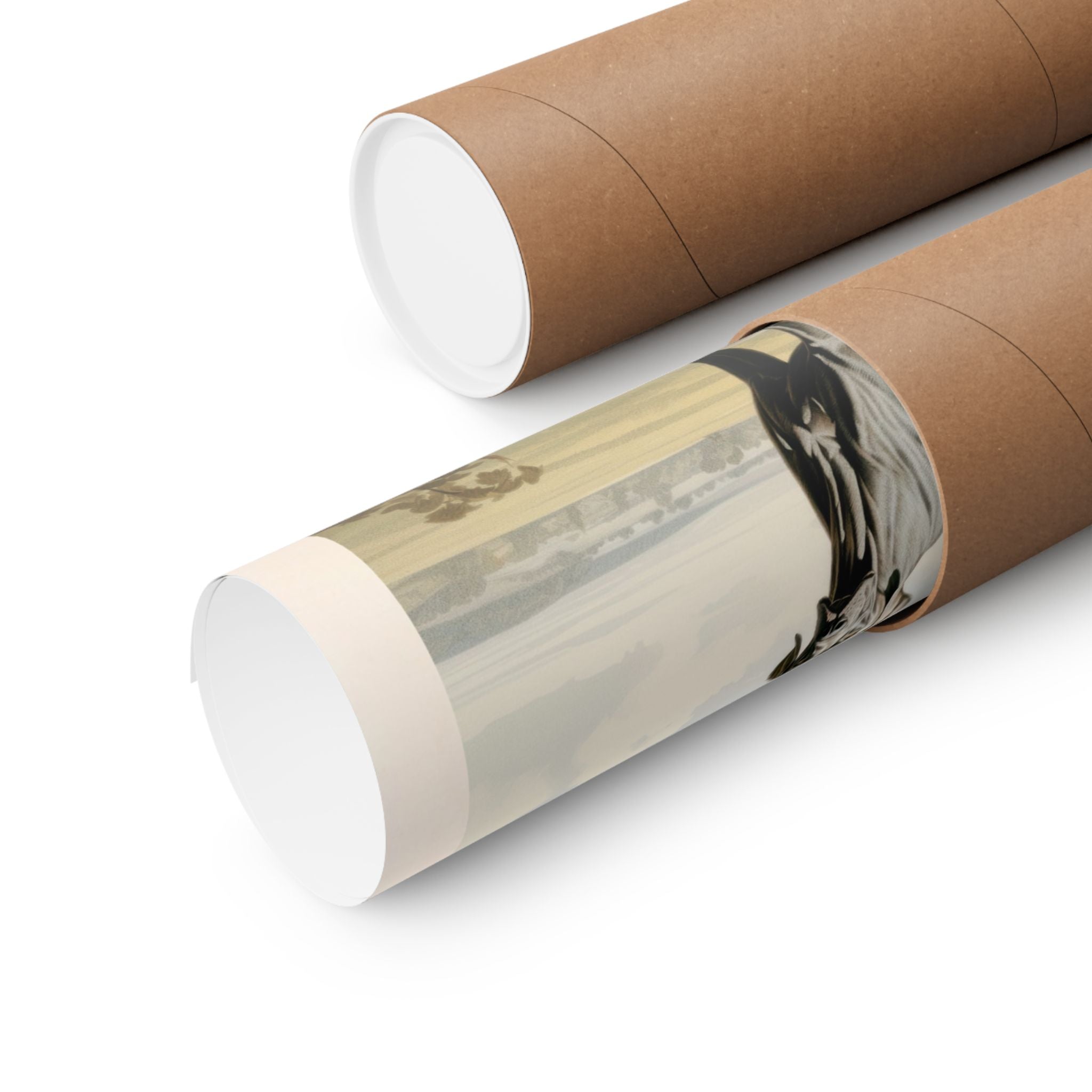 Great Dane 1- CFA Edition