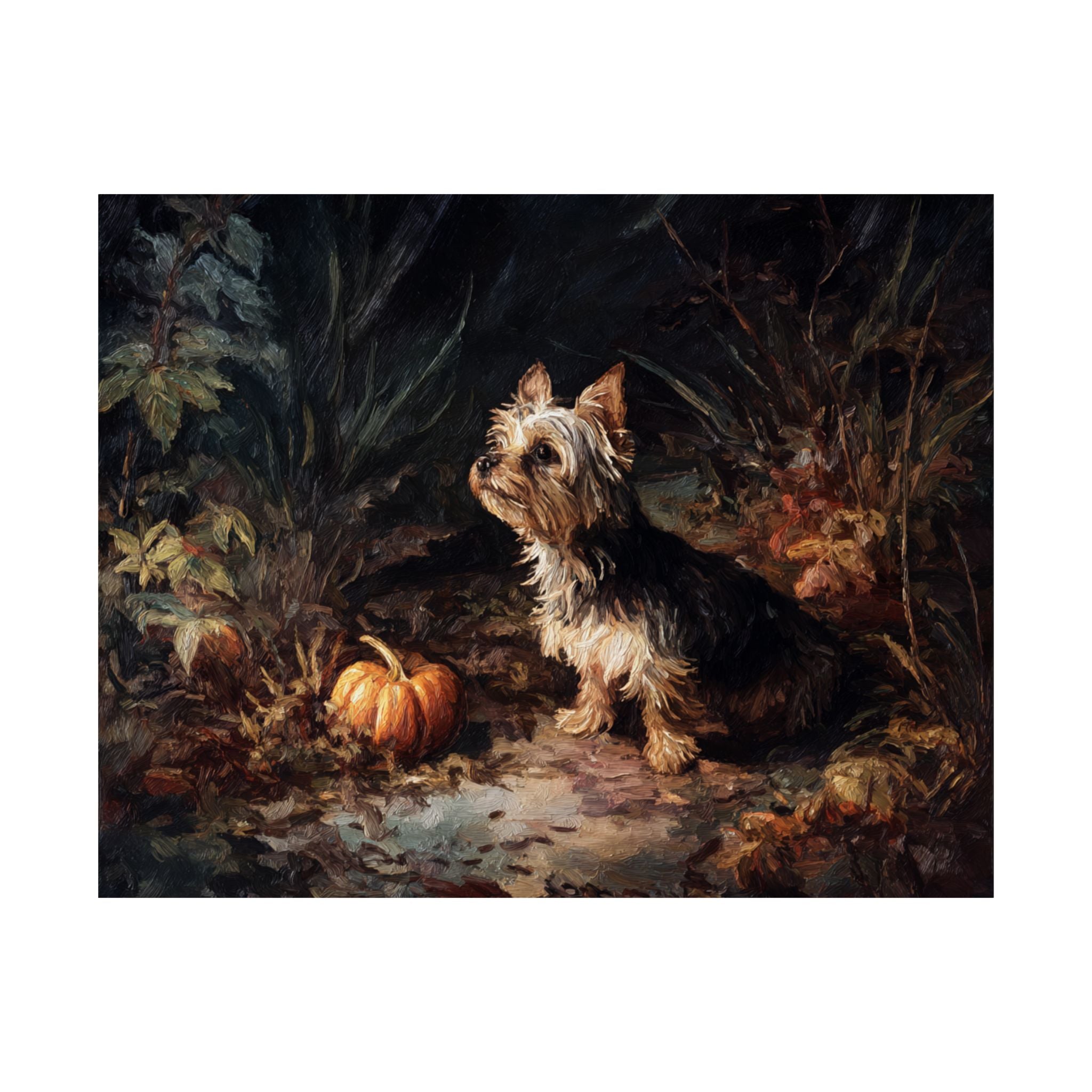 Yorkshire Terrier 3- Howl-oween Collection