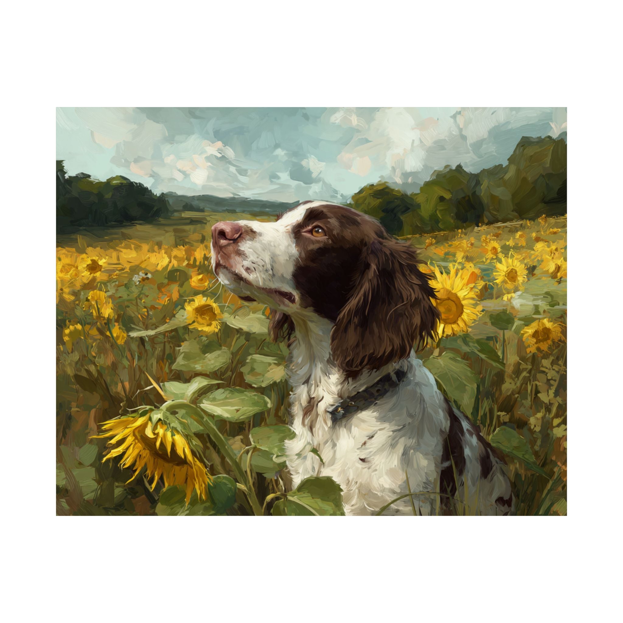 Springer Spaniel 7- Sunflower Season Collection