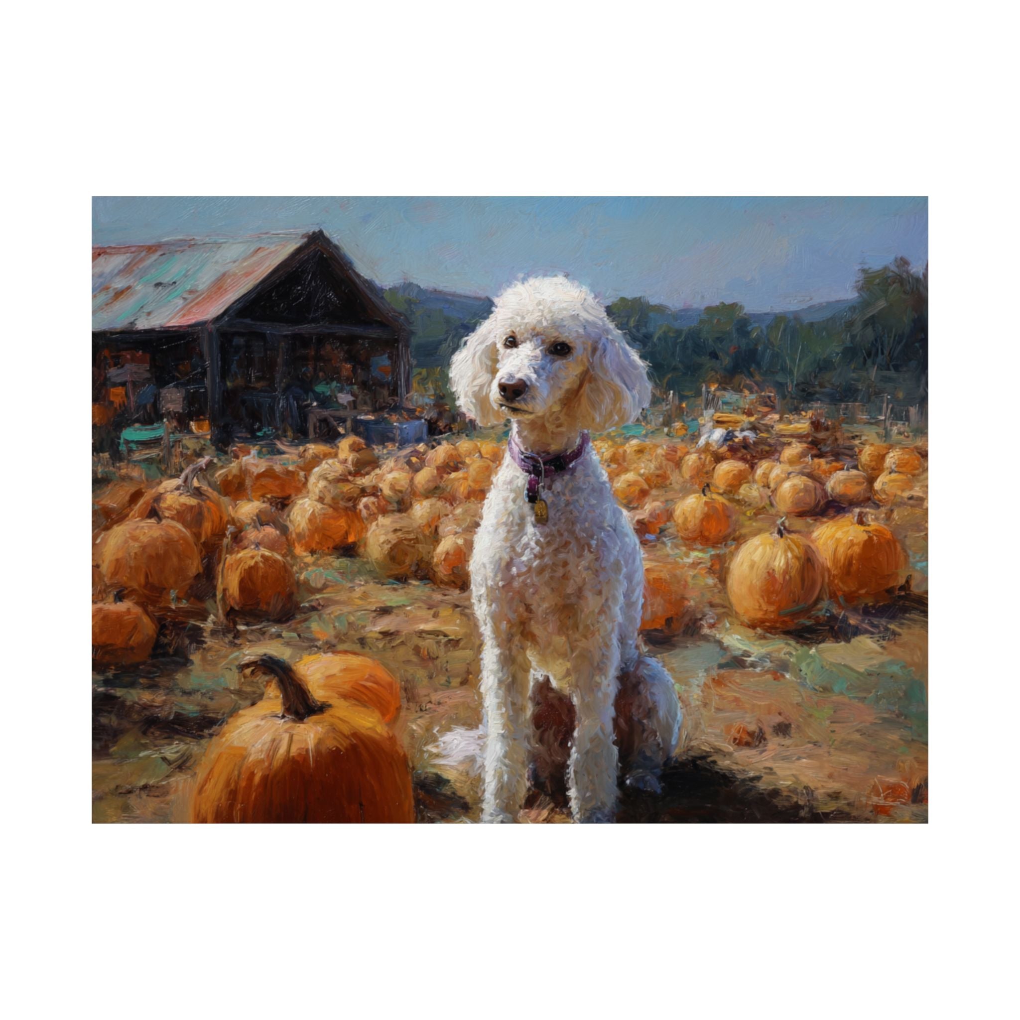 Poodle 5- Pumpkin Patch Collection