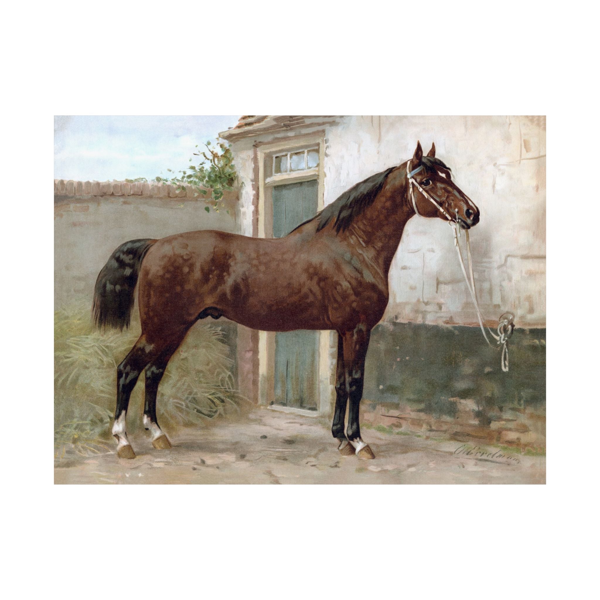 Norman Horse- Eerelman Collection