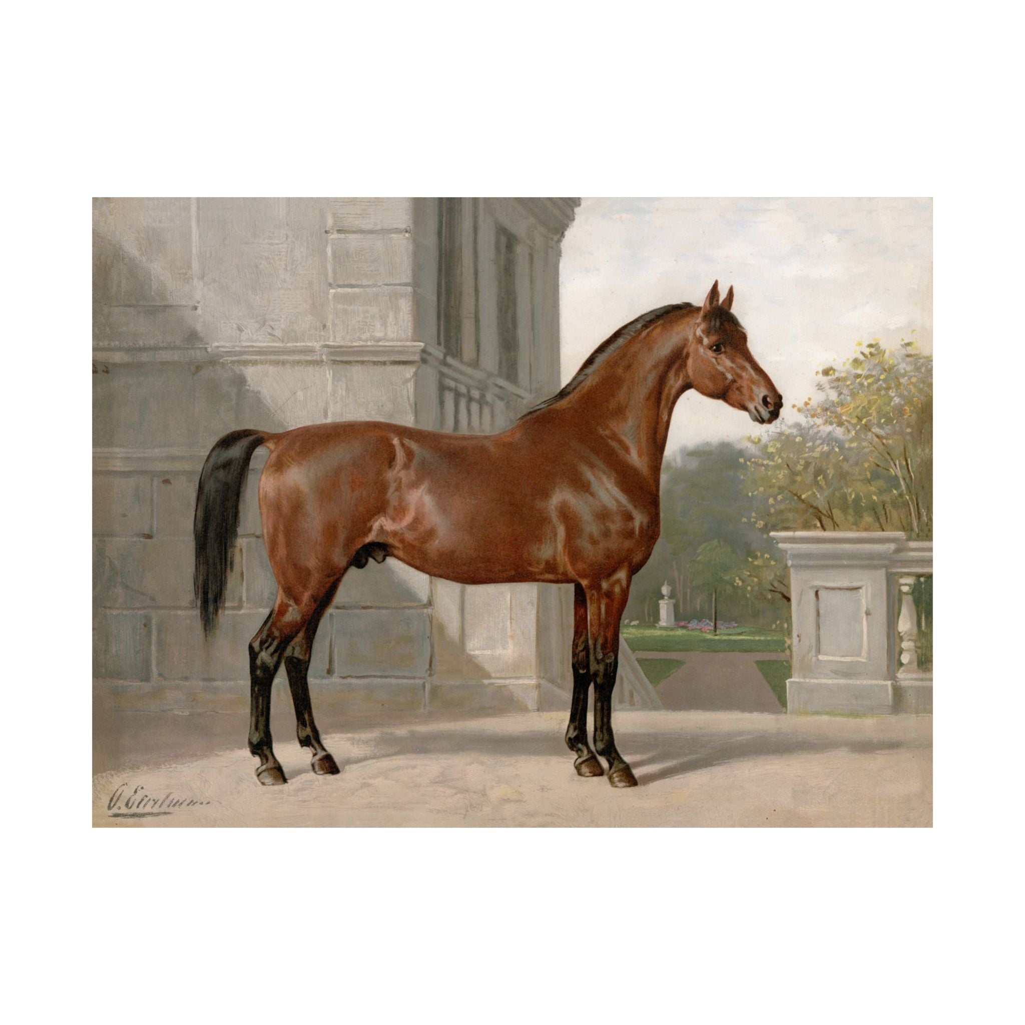 Cleveland Horse- Eerelman Collection