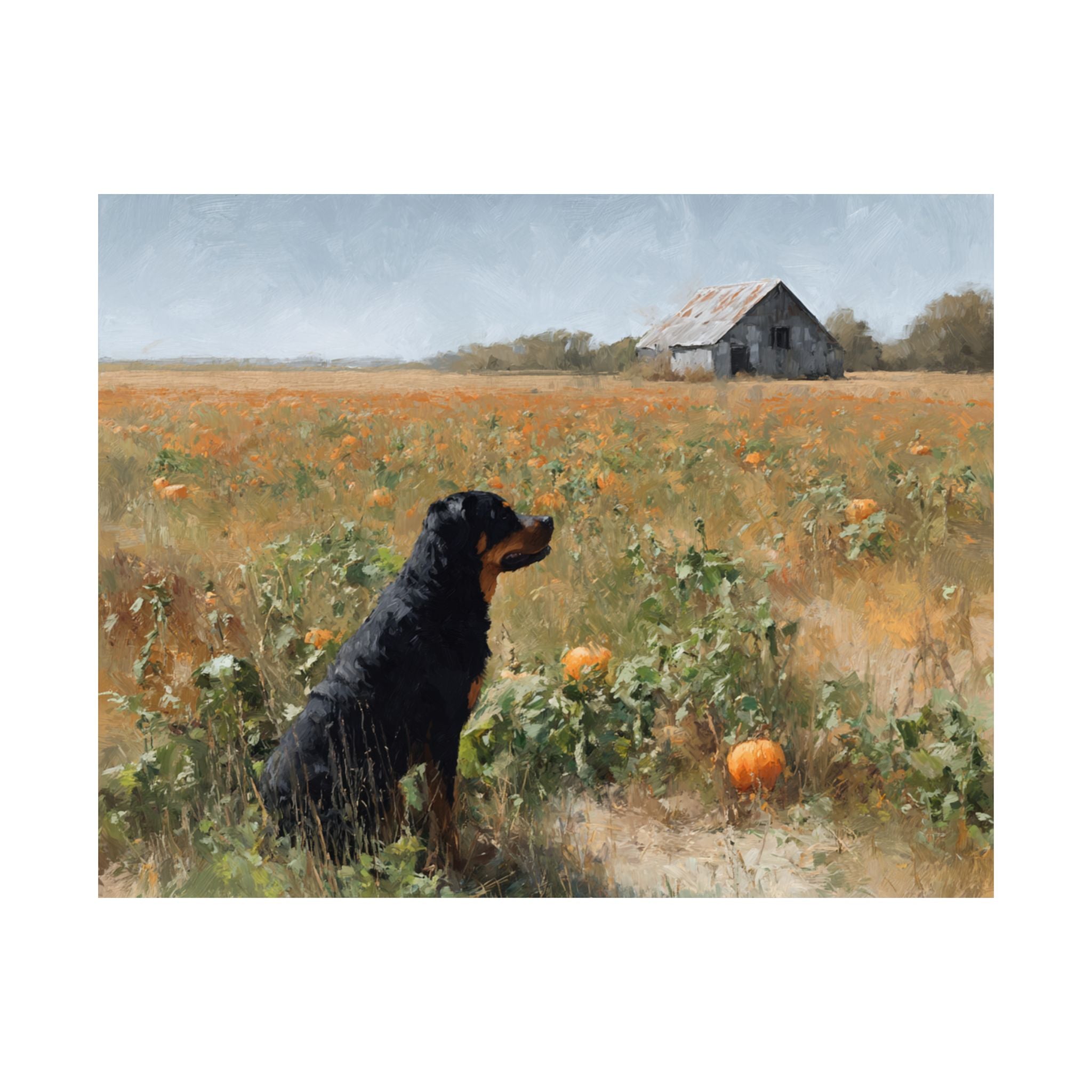 Rottweiler 4- Pumpkin Patch Collection