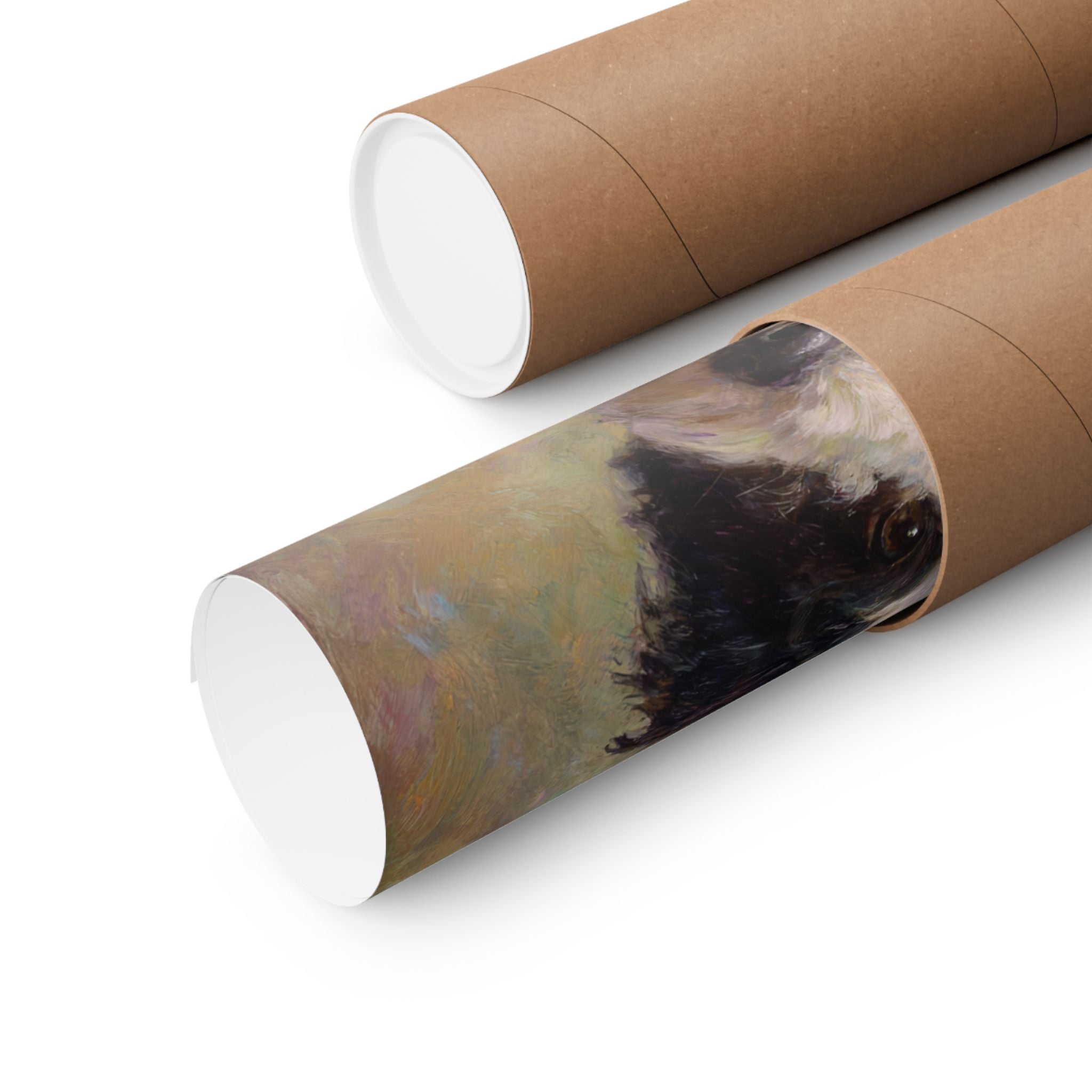 Aussiedoodle 3- Pawty Animals Collection