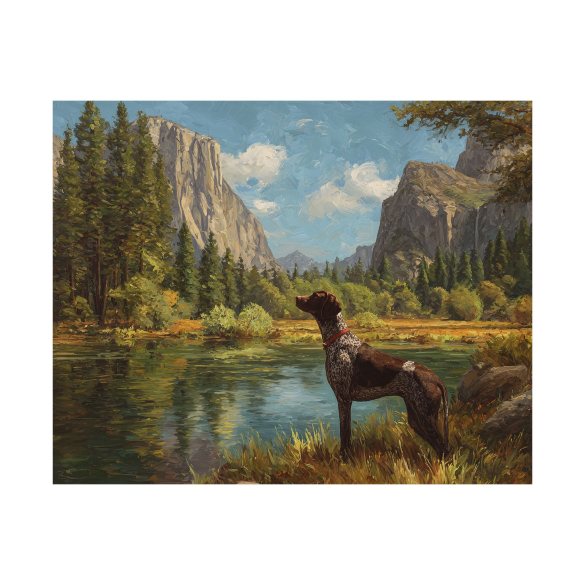 German Short Haired Pointer 1- Adventure Paws Collection