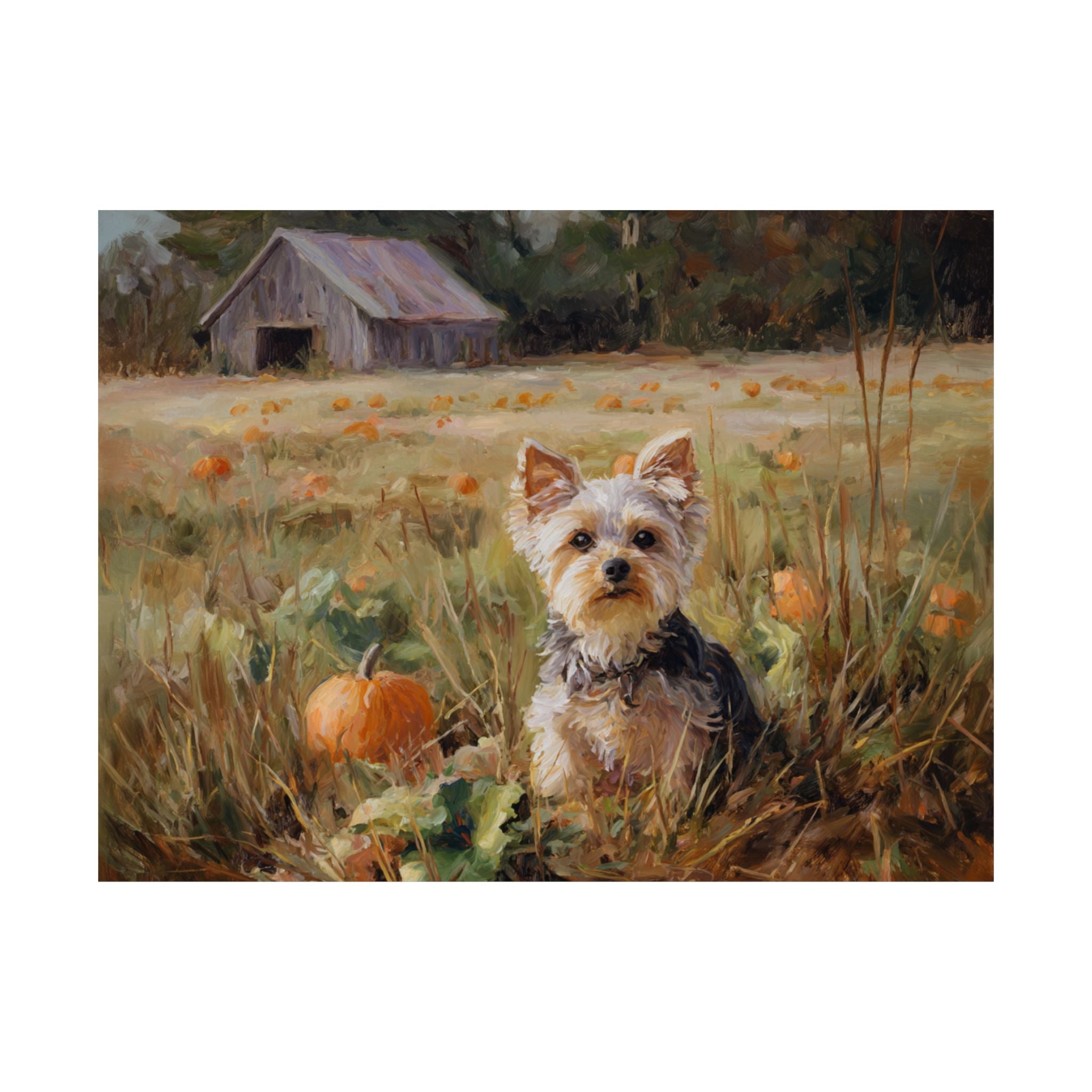 Yorkshire Terrier 6- Pumpkin Patch Collection