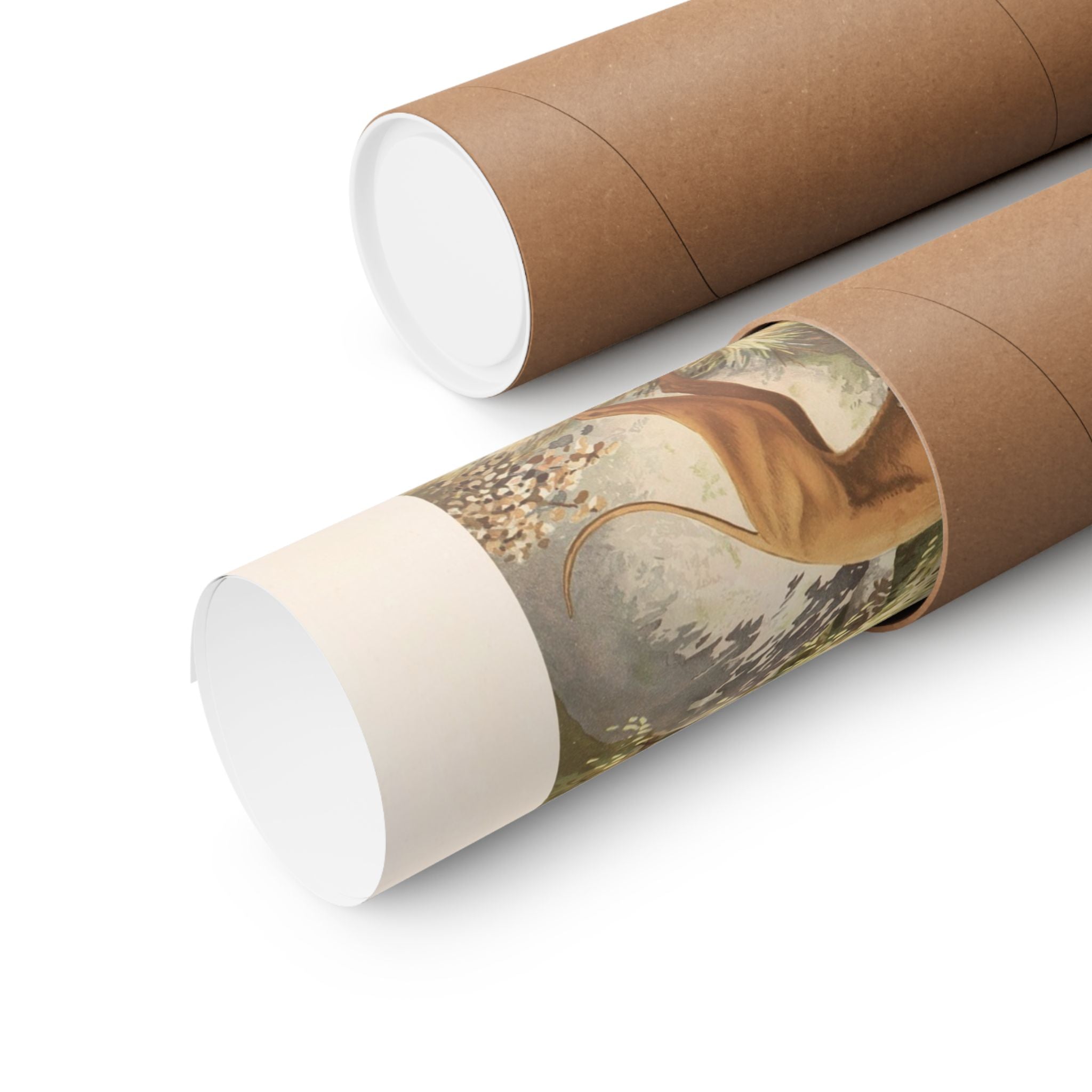 Greyhounds- Pope Collection