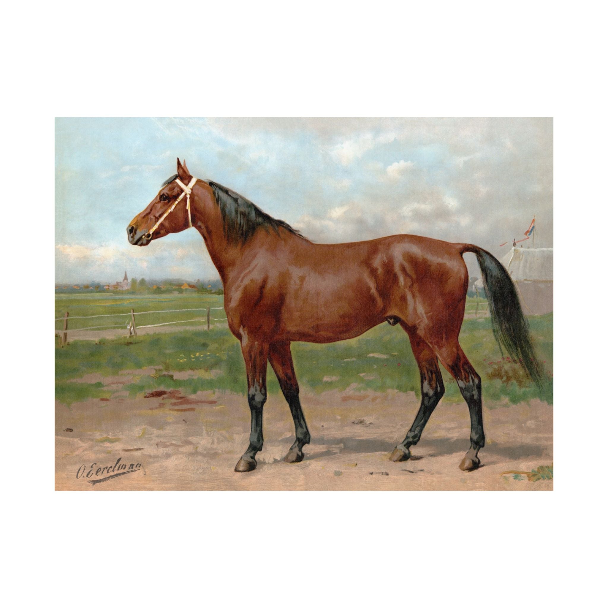 American Race Horse- Eerelman Collection