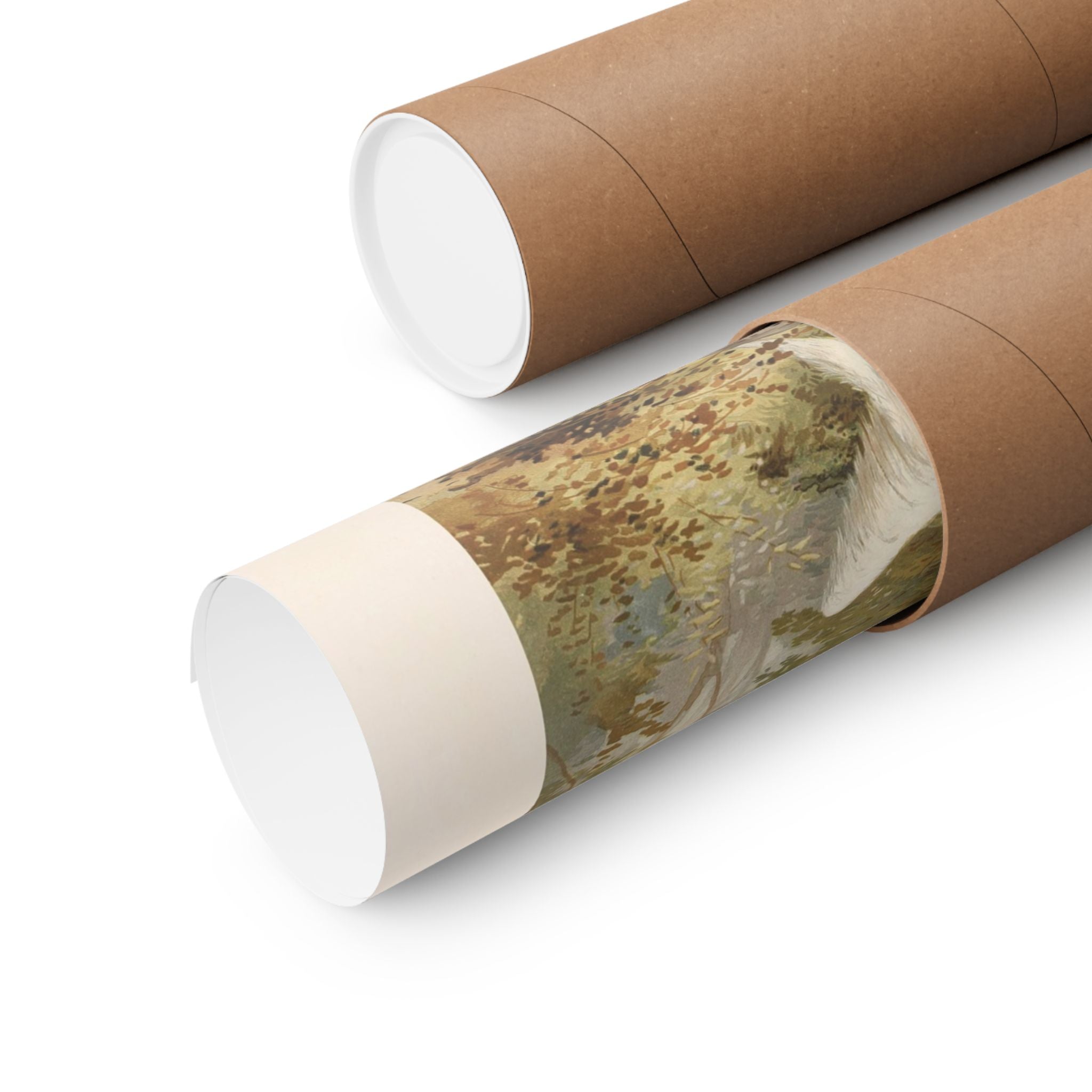 Llewellin Setter Dog- Pope Collection