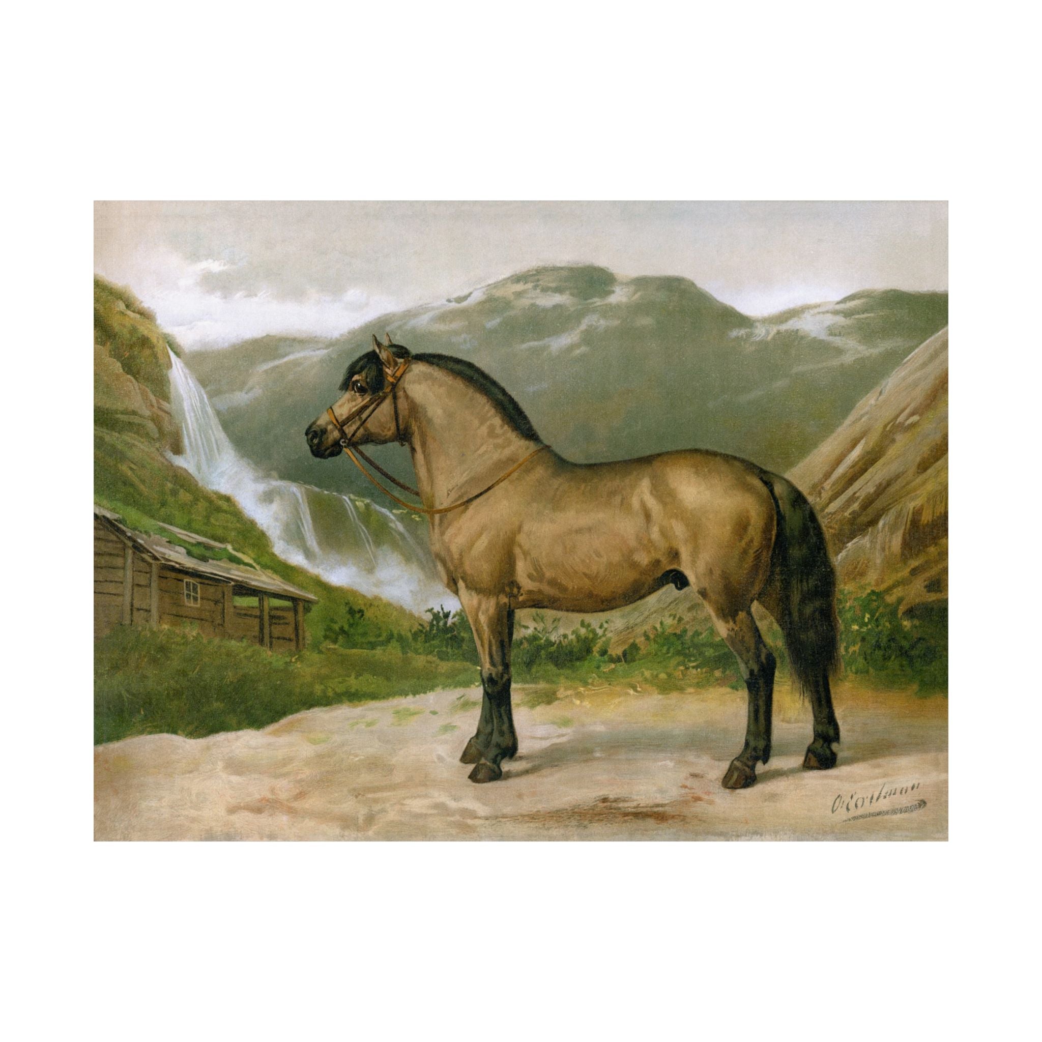 Norwegian Horse- Eerelman Collection