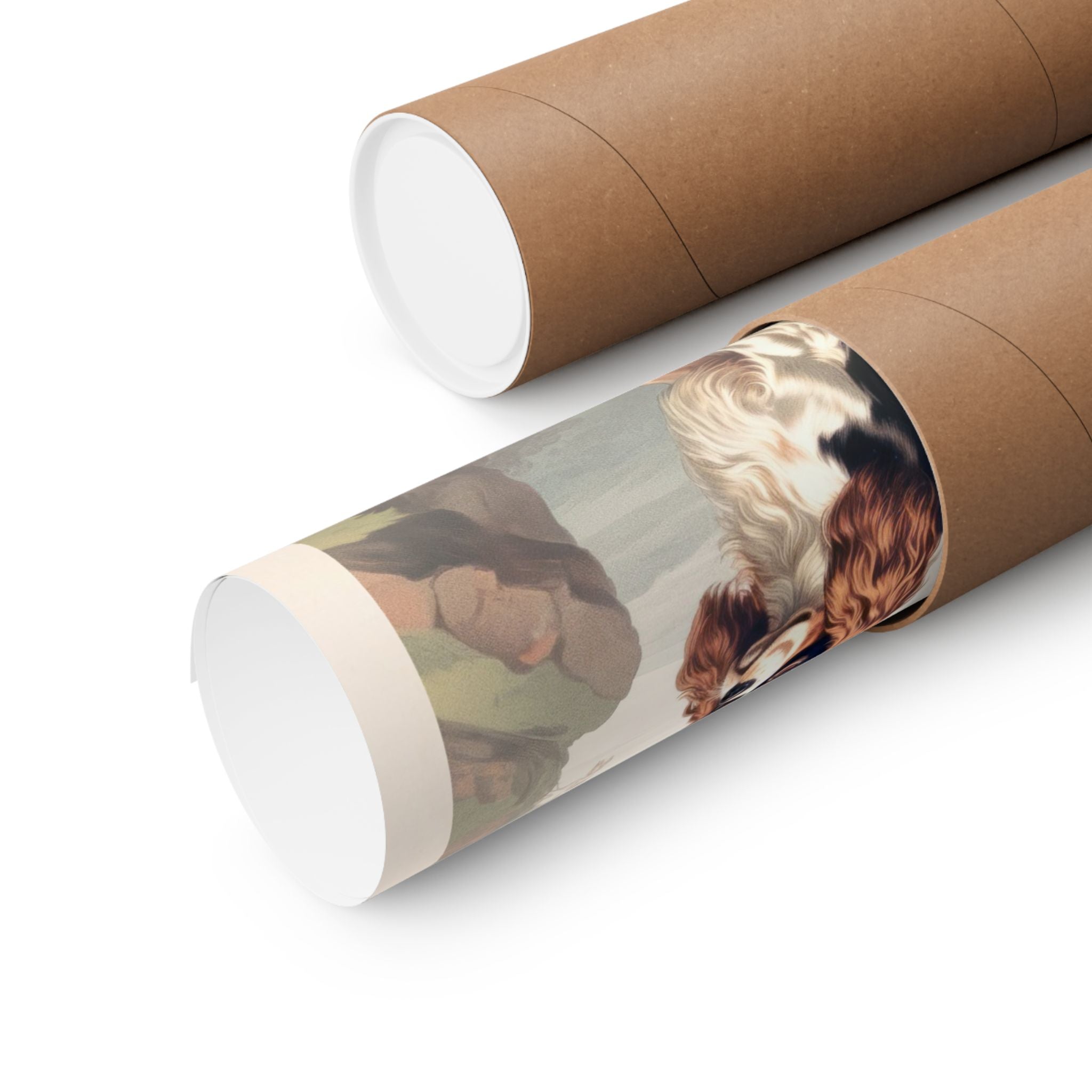 Cavalier King Charles Spaniel 2- CFA Edition