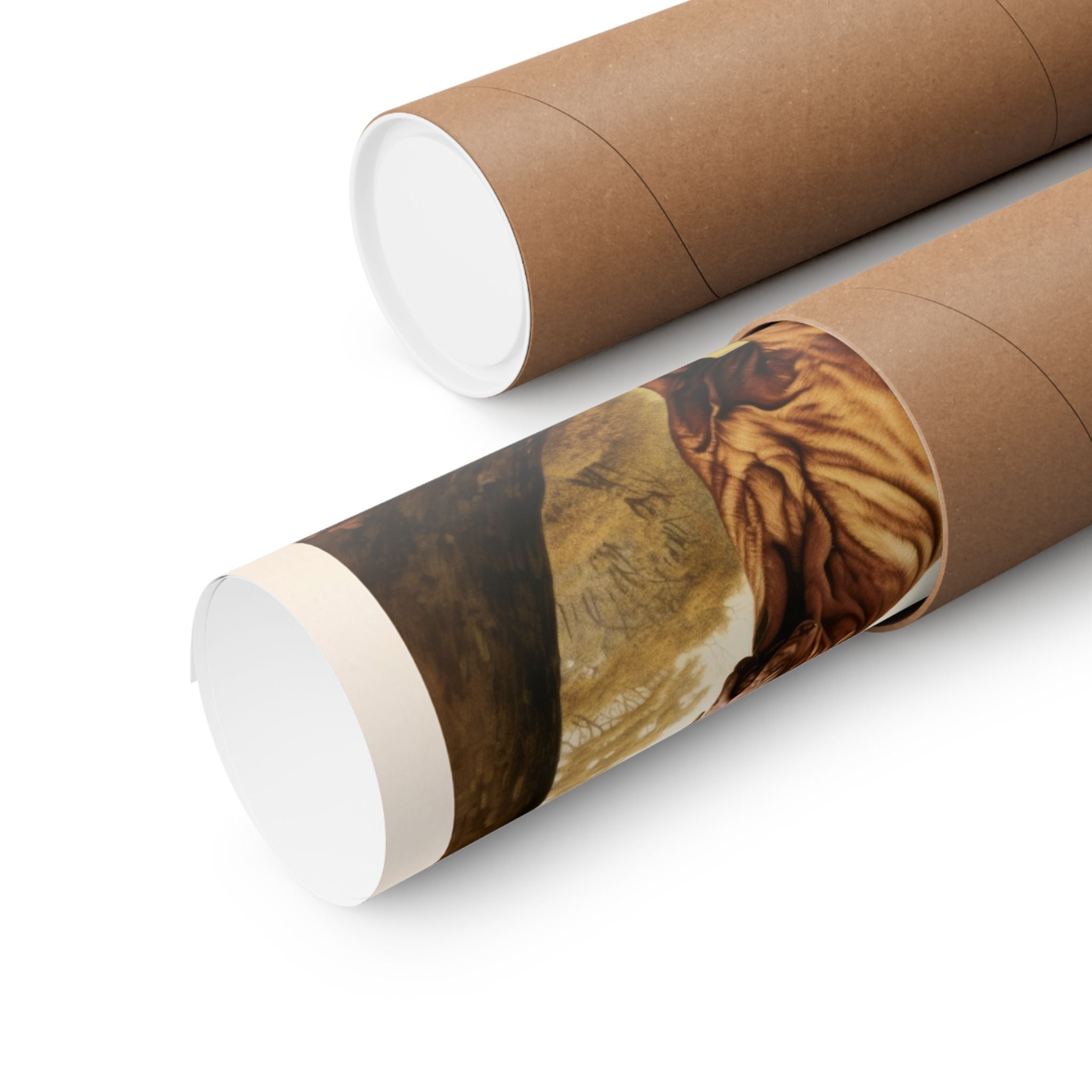 French Mastiff 2- CFA Edition