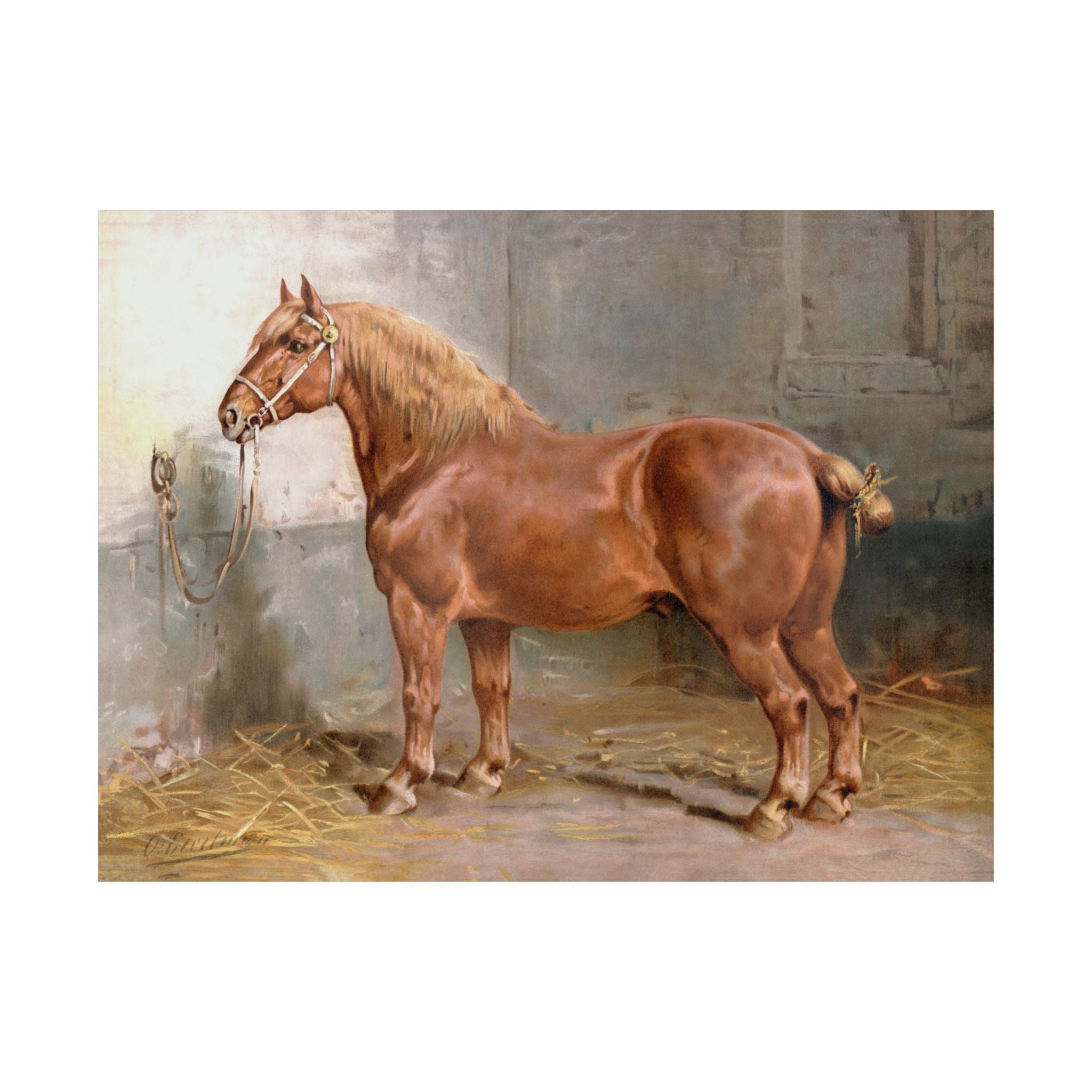 Suffolk Horse- Eerelman Collection