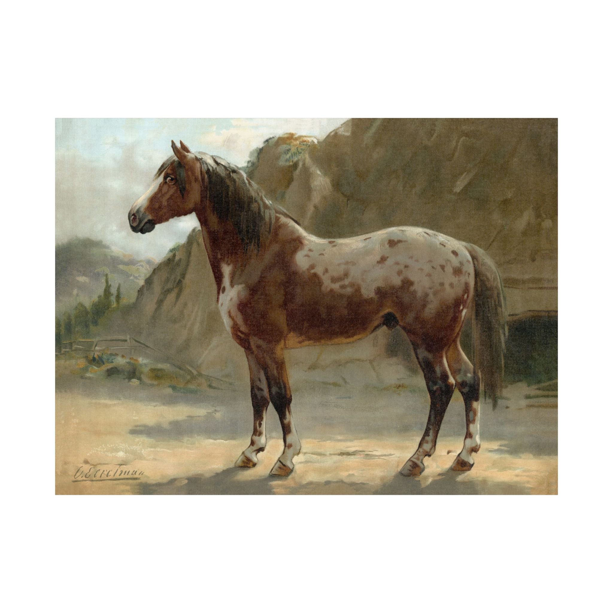 Pinzgauer Horse- Eerelman Collection