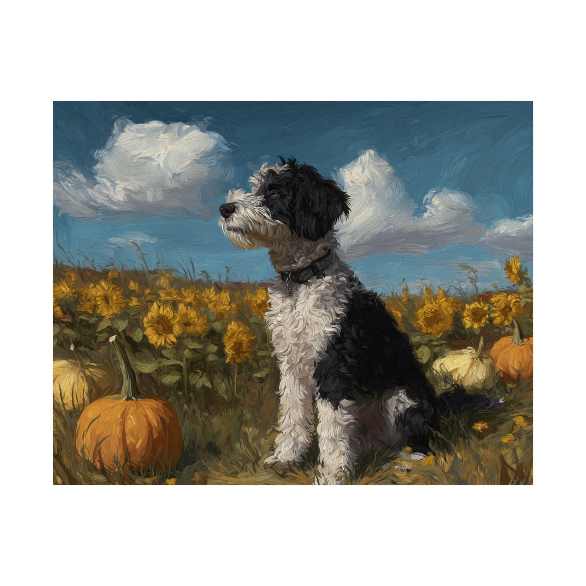 Aussiedoodle 4- Sunflower Season Collection