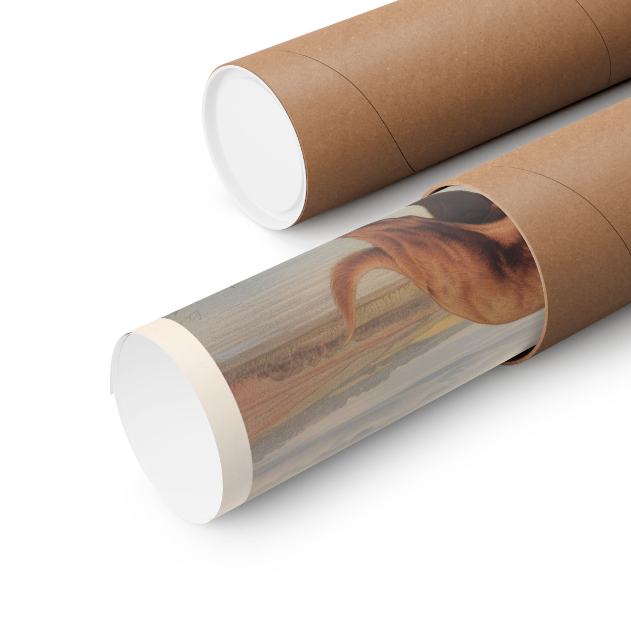 Chesapeake Retriever 1- CFA Edition