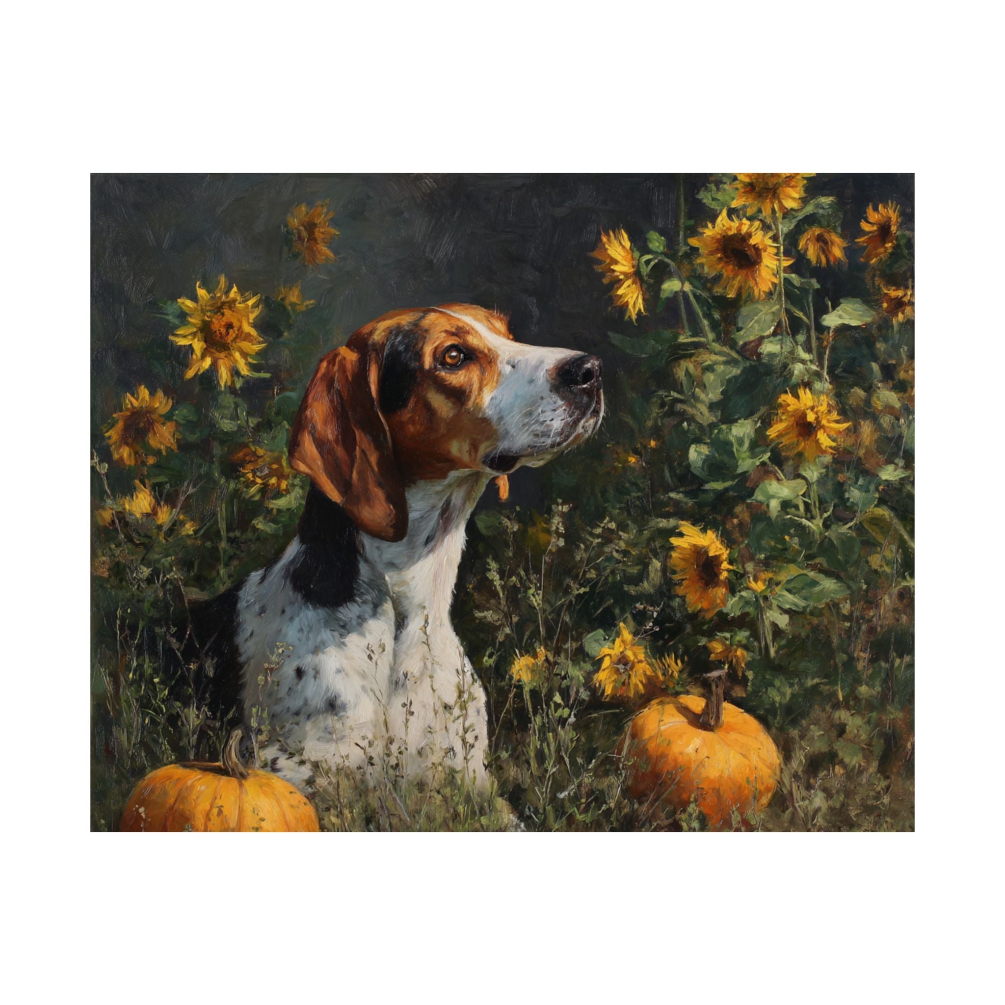 Hound Dog 3- Sunflower Season Collection