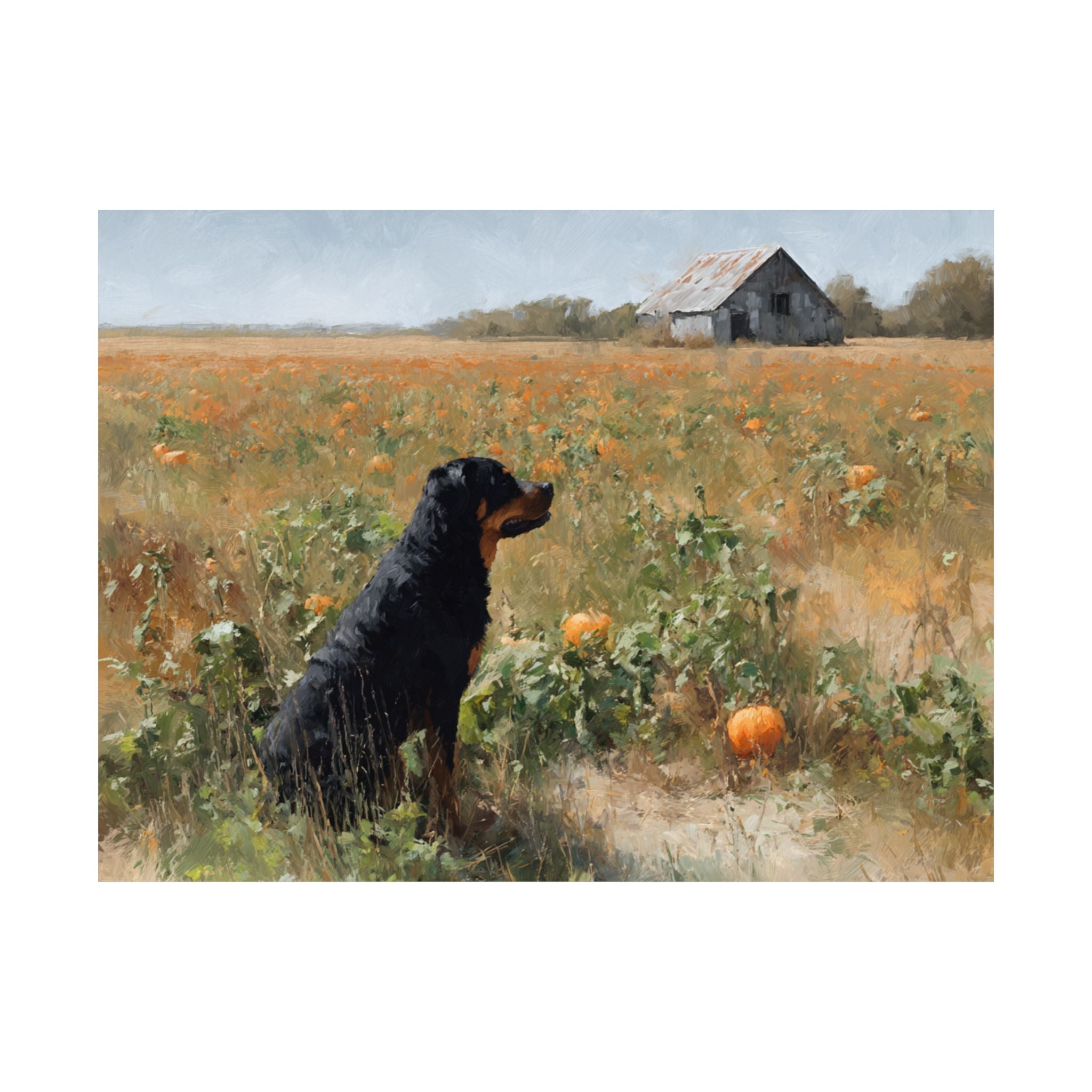 Rottweiler 4- Pumpkin Patch Collection