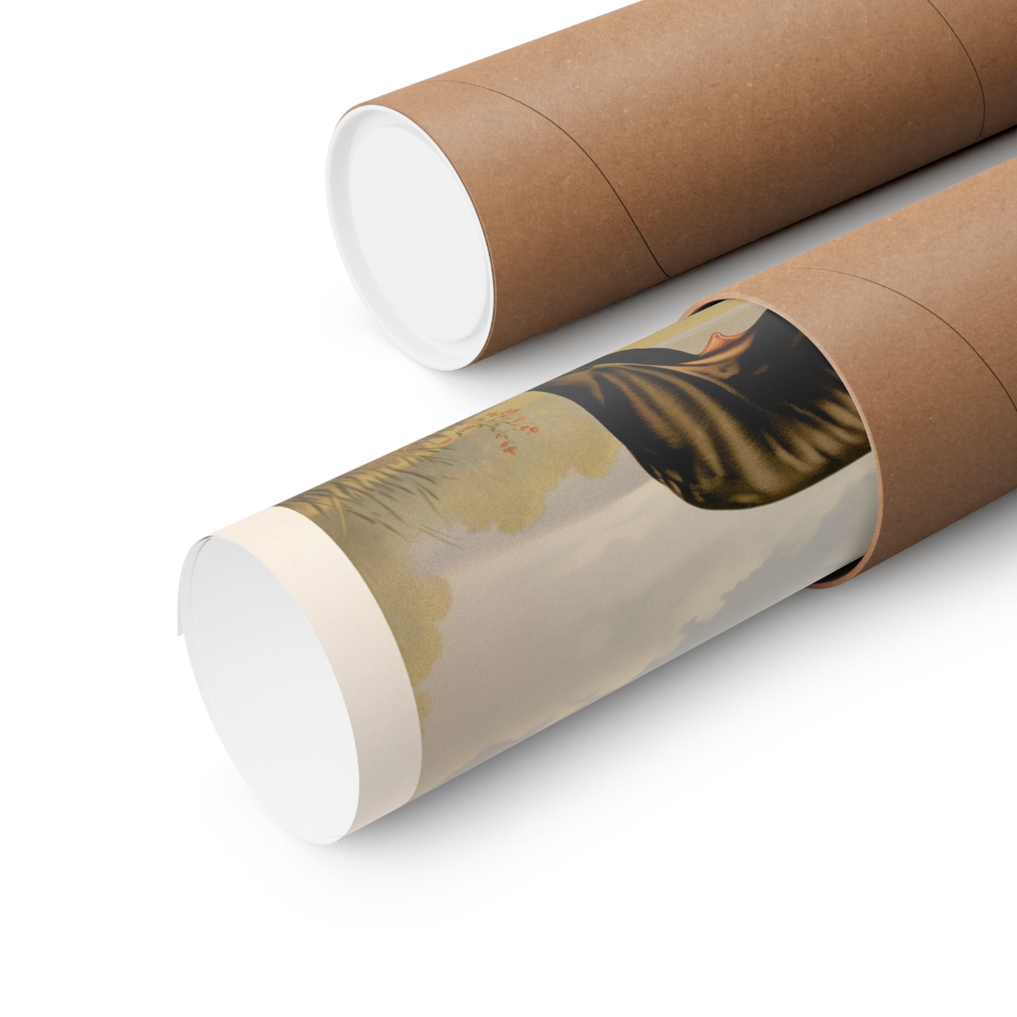 Bull Terrier 2- CFA Edition