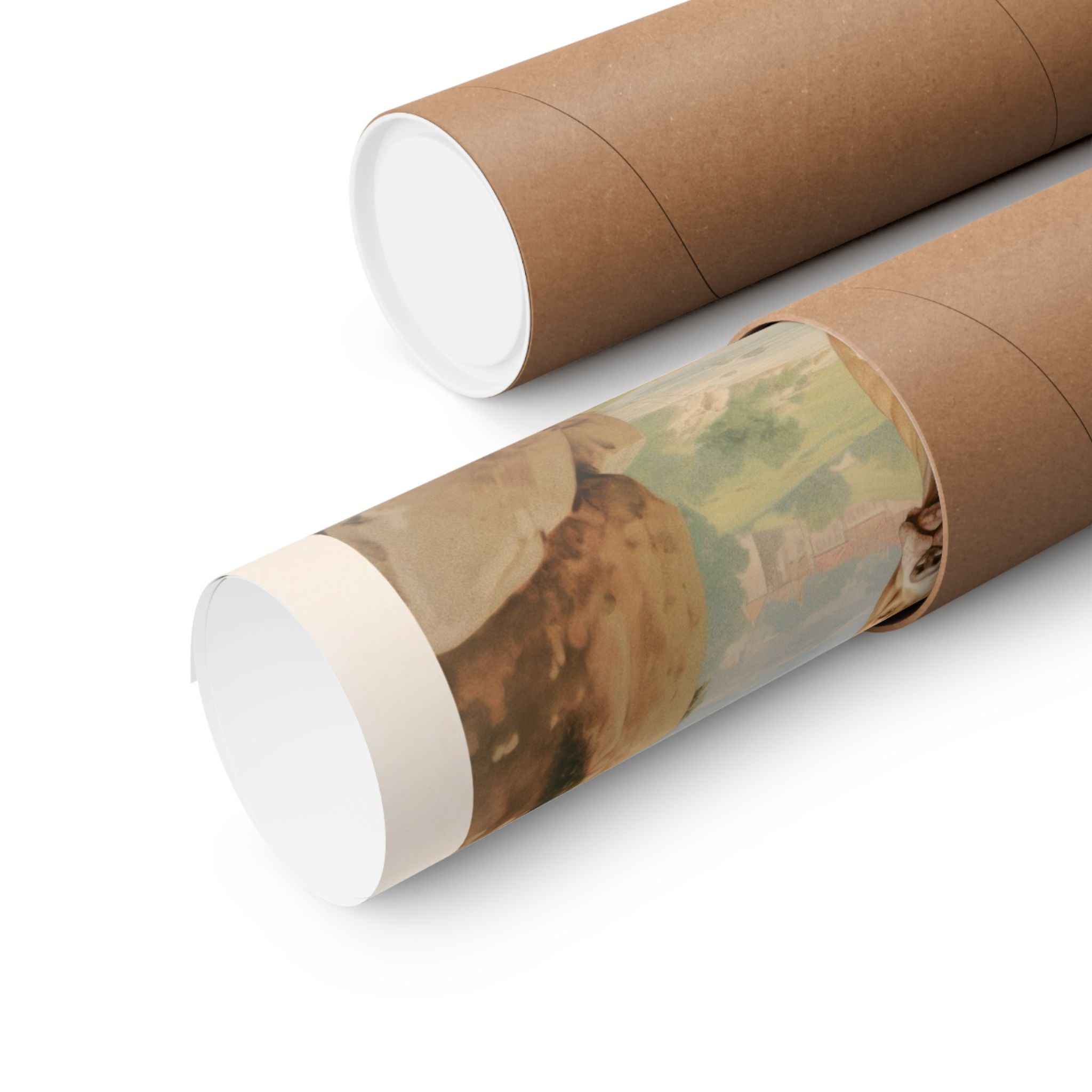 Pit Bull 1- CFA Edition