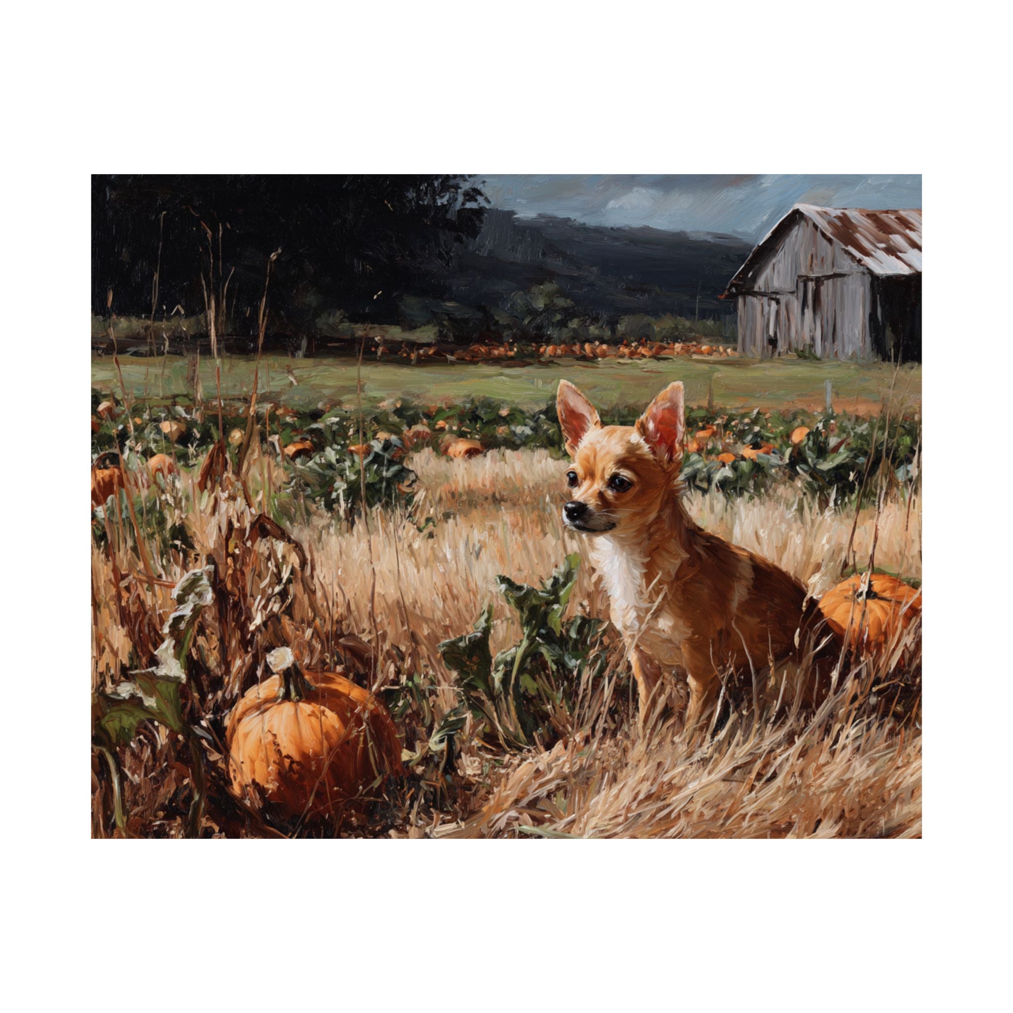 Chihuahua 1- Pumpkin Patch Collection