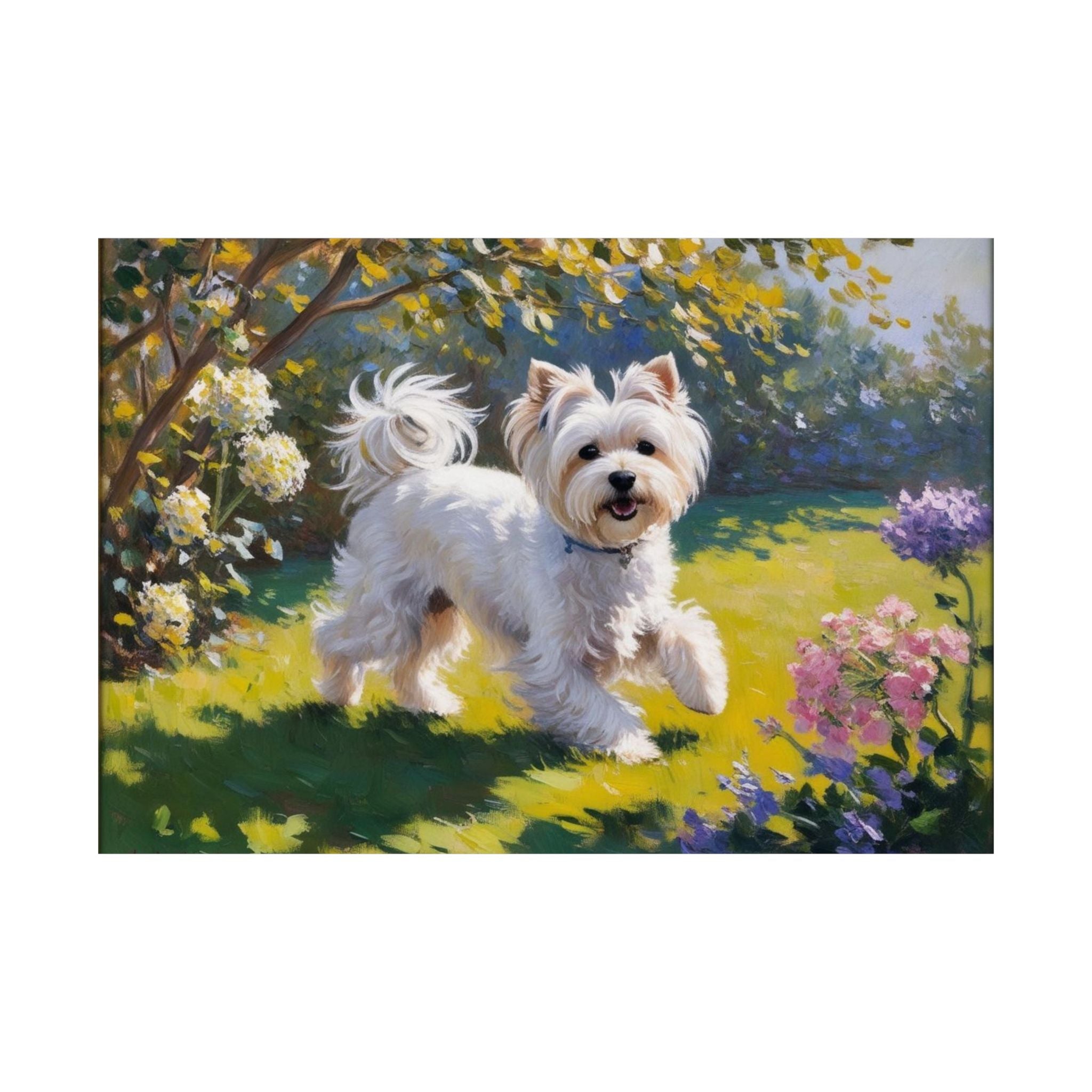 Maltese- Garden Collection