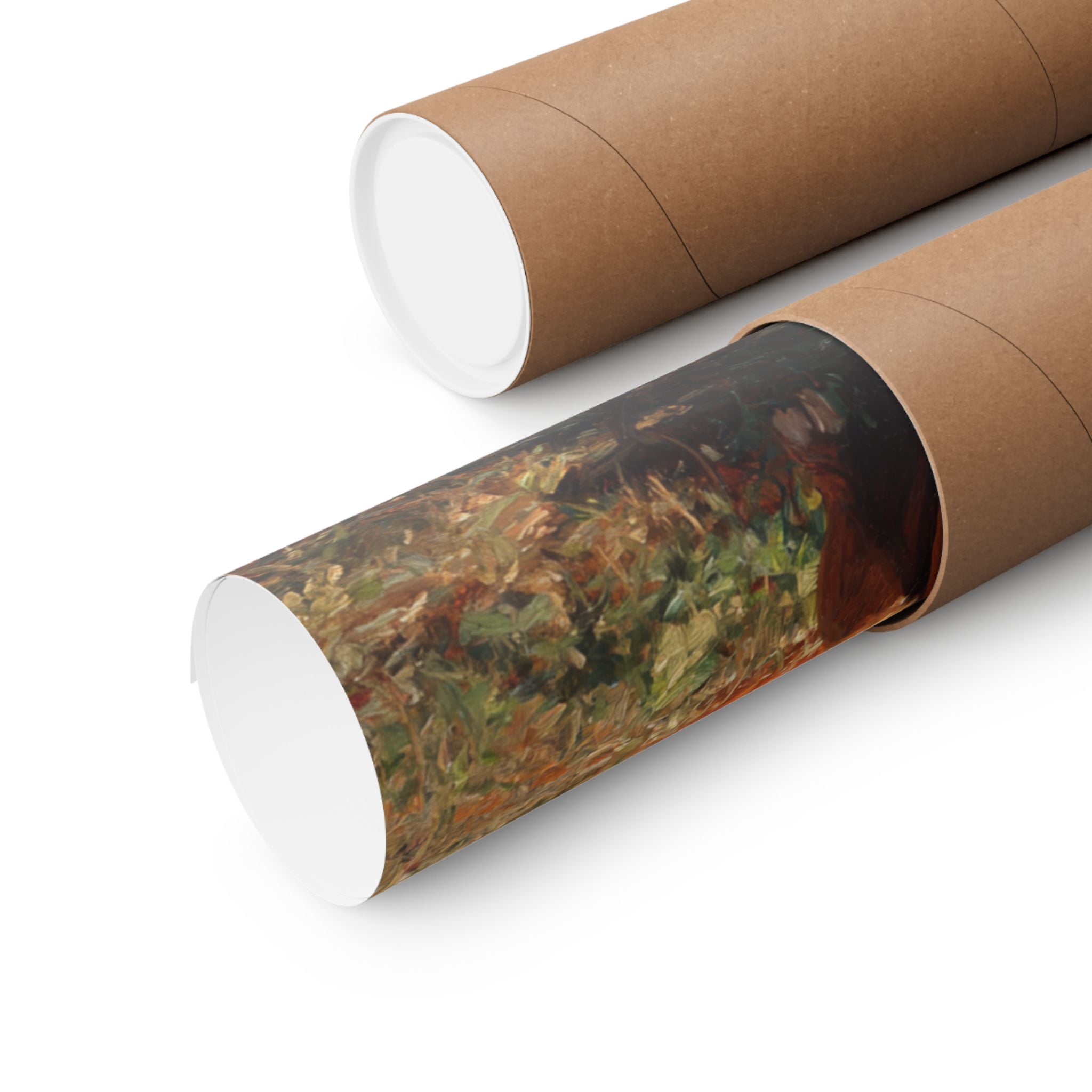 Boxer 2- Pumpkin Patch Collection