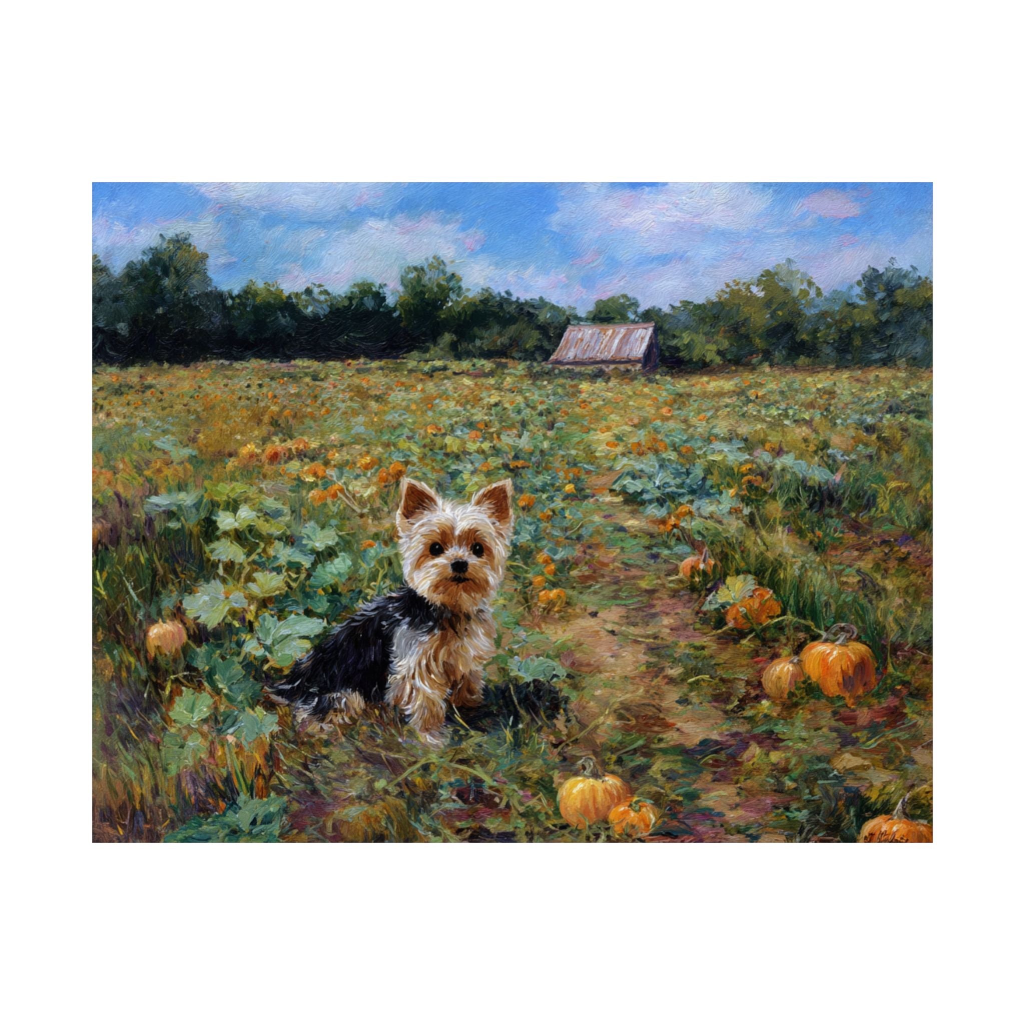 Yorkshire Terrier 4- Pumpkin Patch Collection