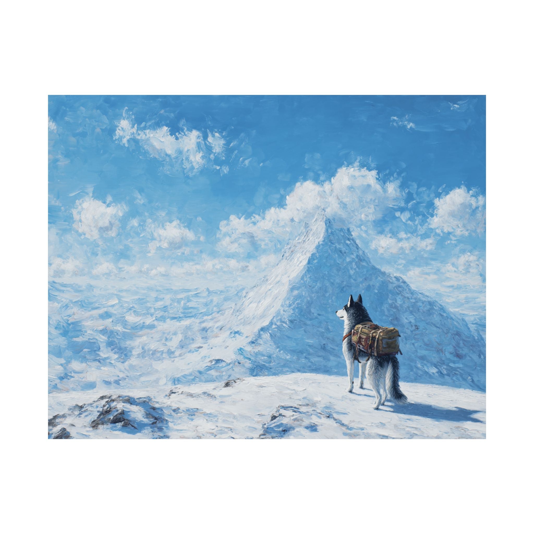 Husky 5- Adventure Paws Collection