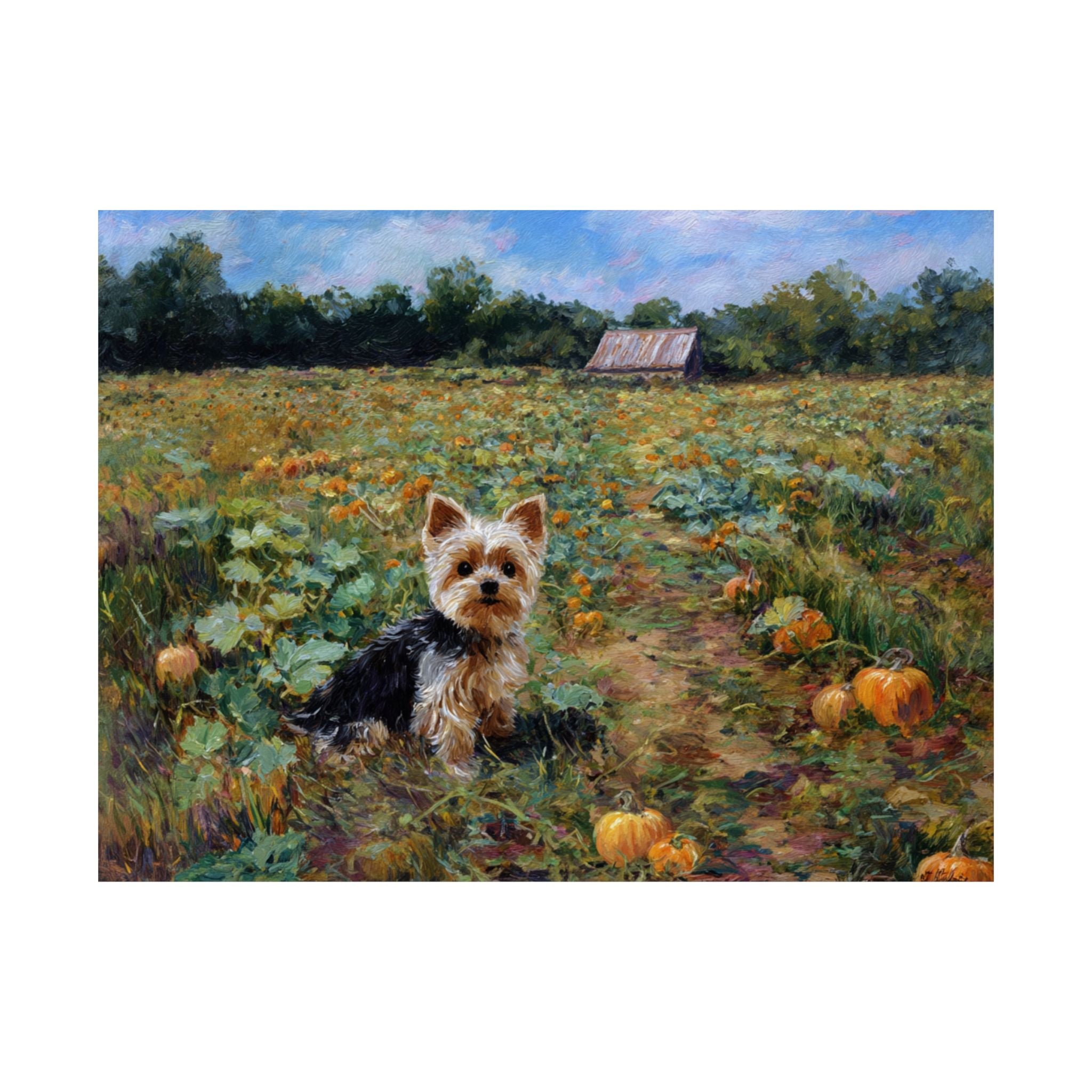 Yorkshire Terrier 4- Pumpkin Patch Collection