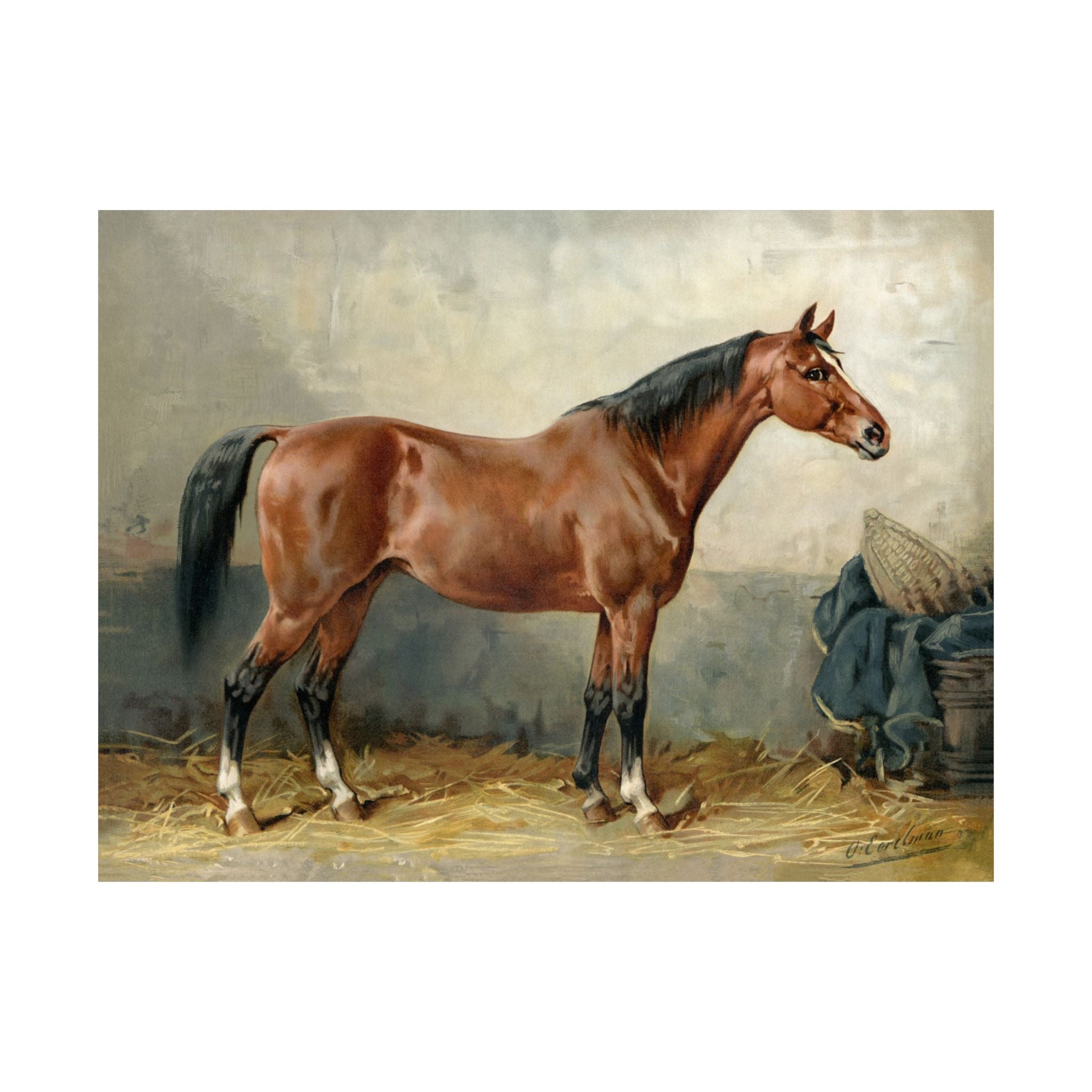 Mecklenburger Horse- Eerelman Collection