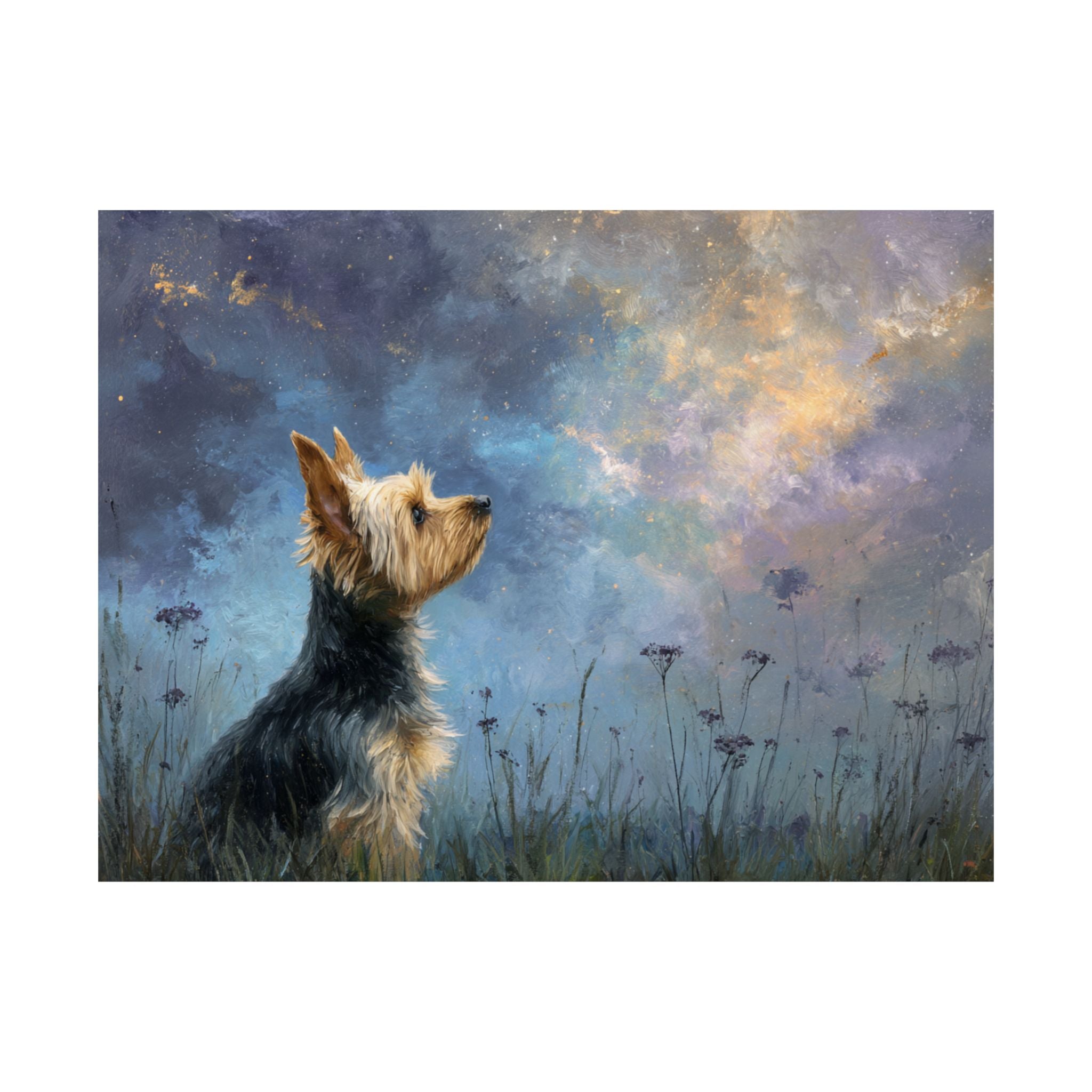 Yorkshire Terrier 2- Dreamy Companions Collection