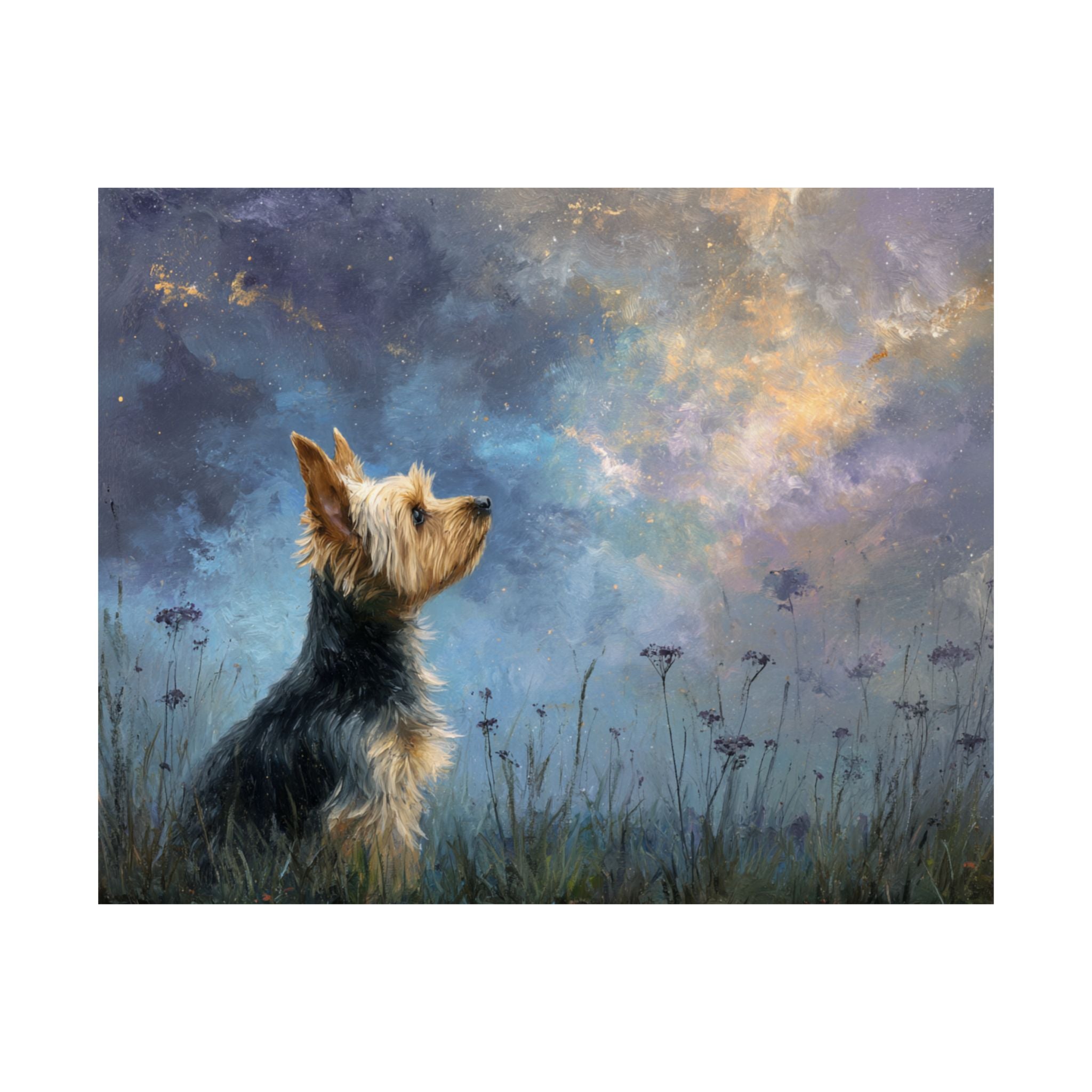 Yorkshire Terrier 2- Dreamy Companions Collection