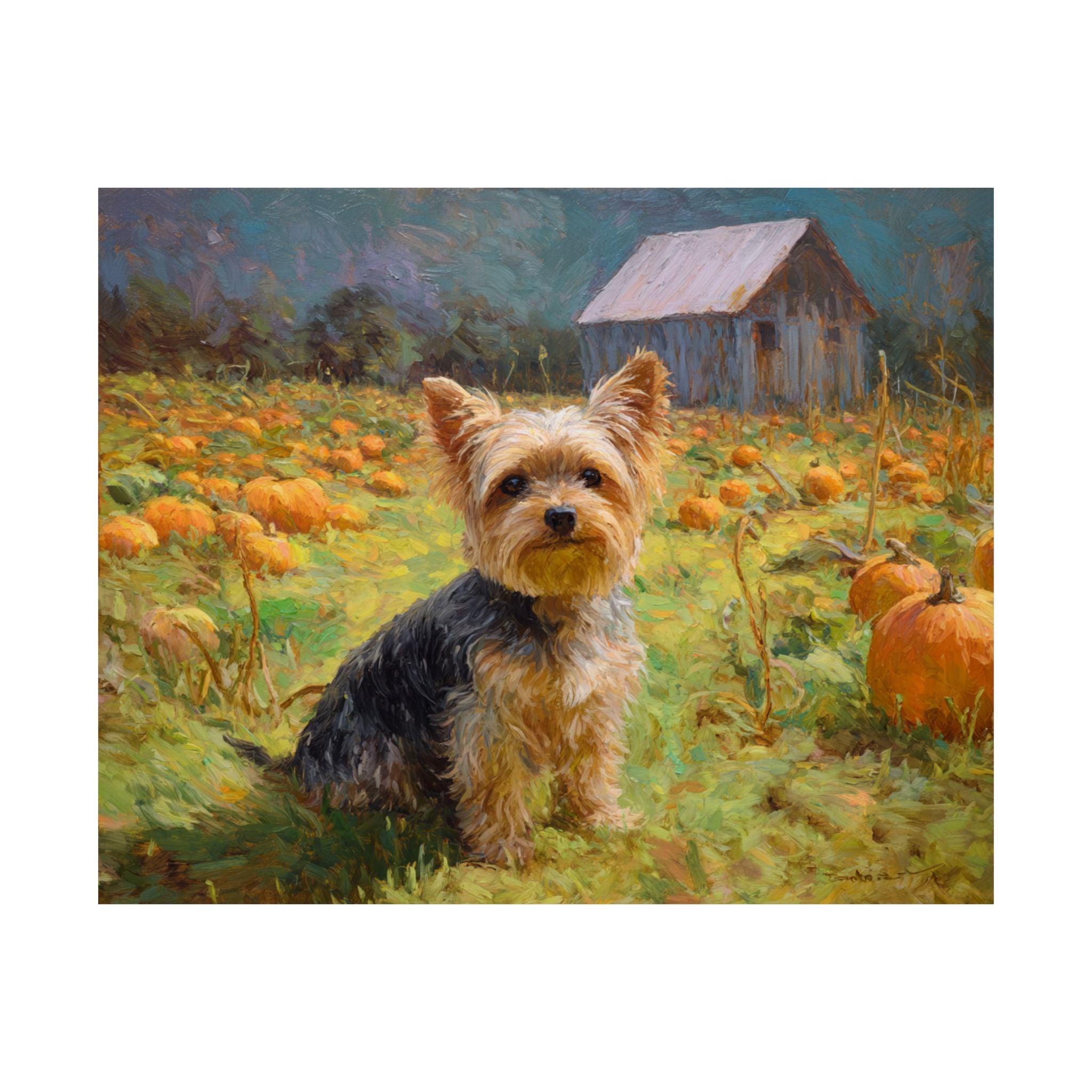 Yorkshire Terrier 1- Pumpkin Patch Collection