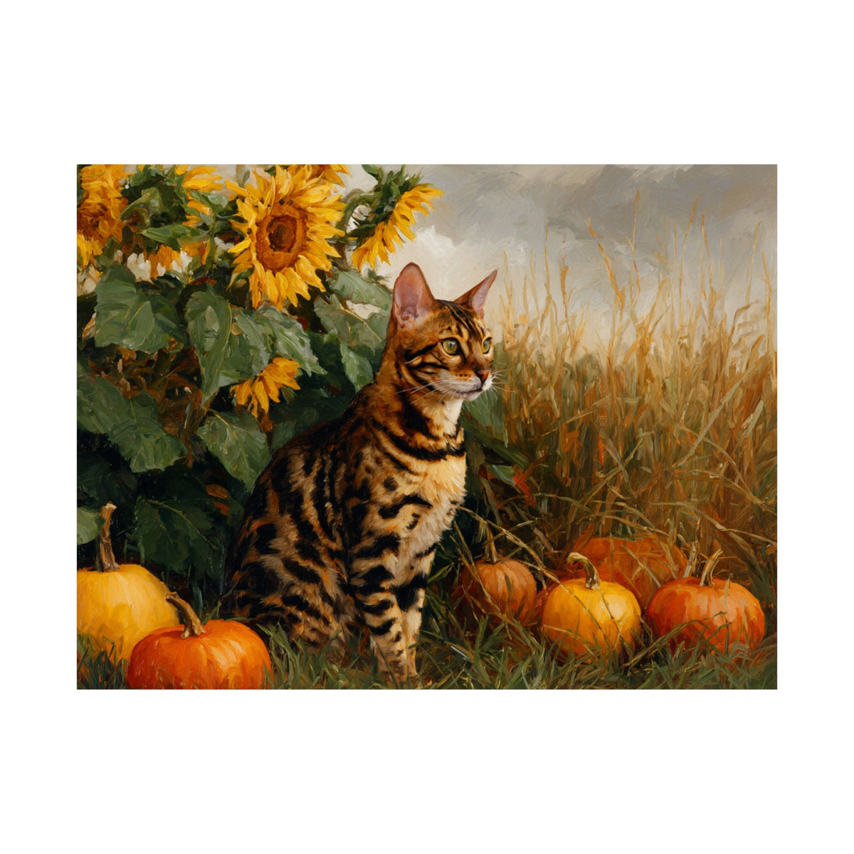 Bengal 3- Sunflower Season Collection