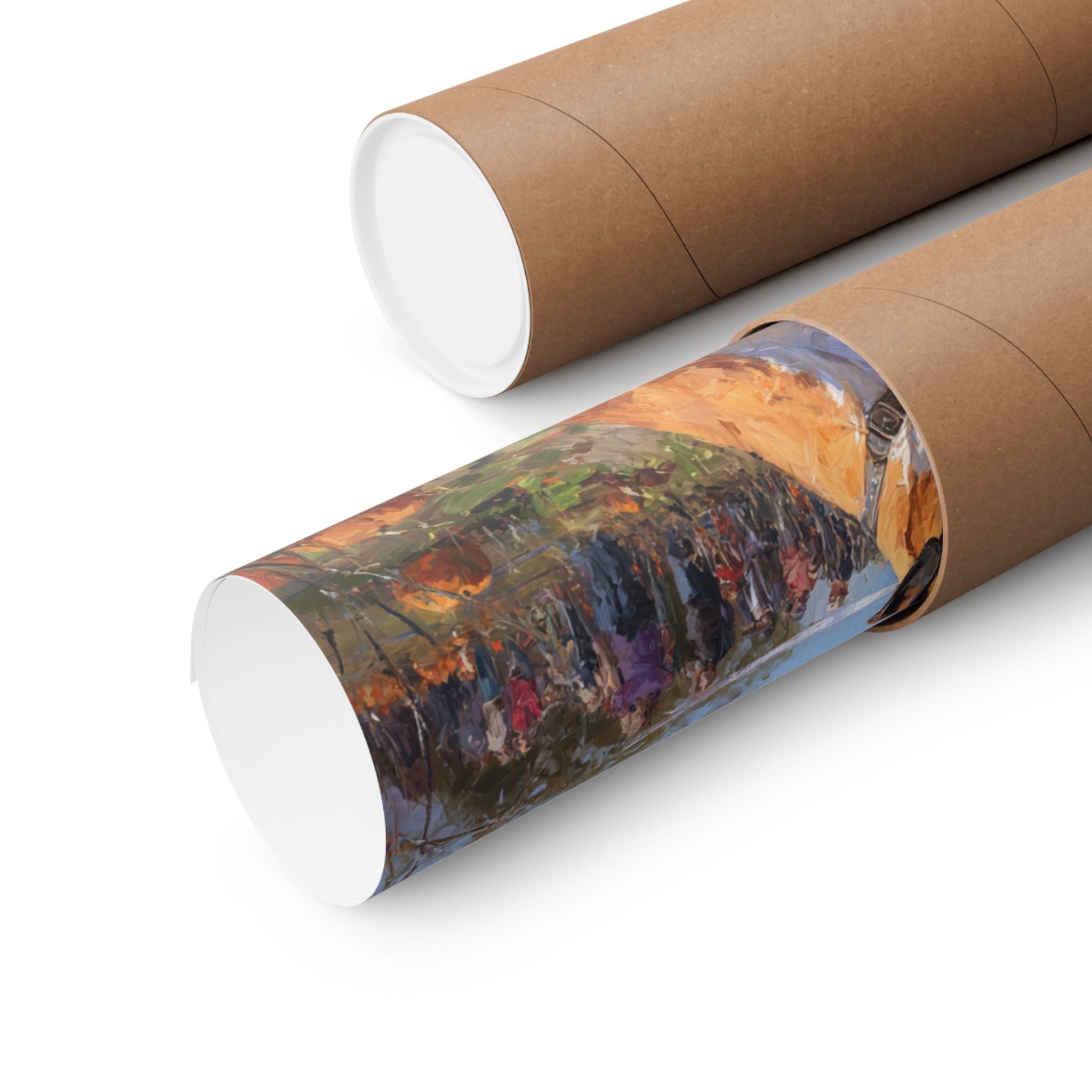 Boxer 1- Pumpkin Patch Collection