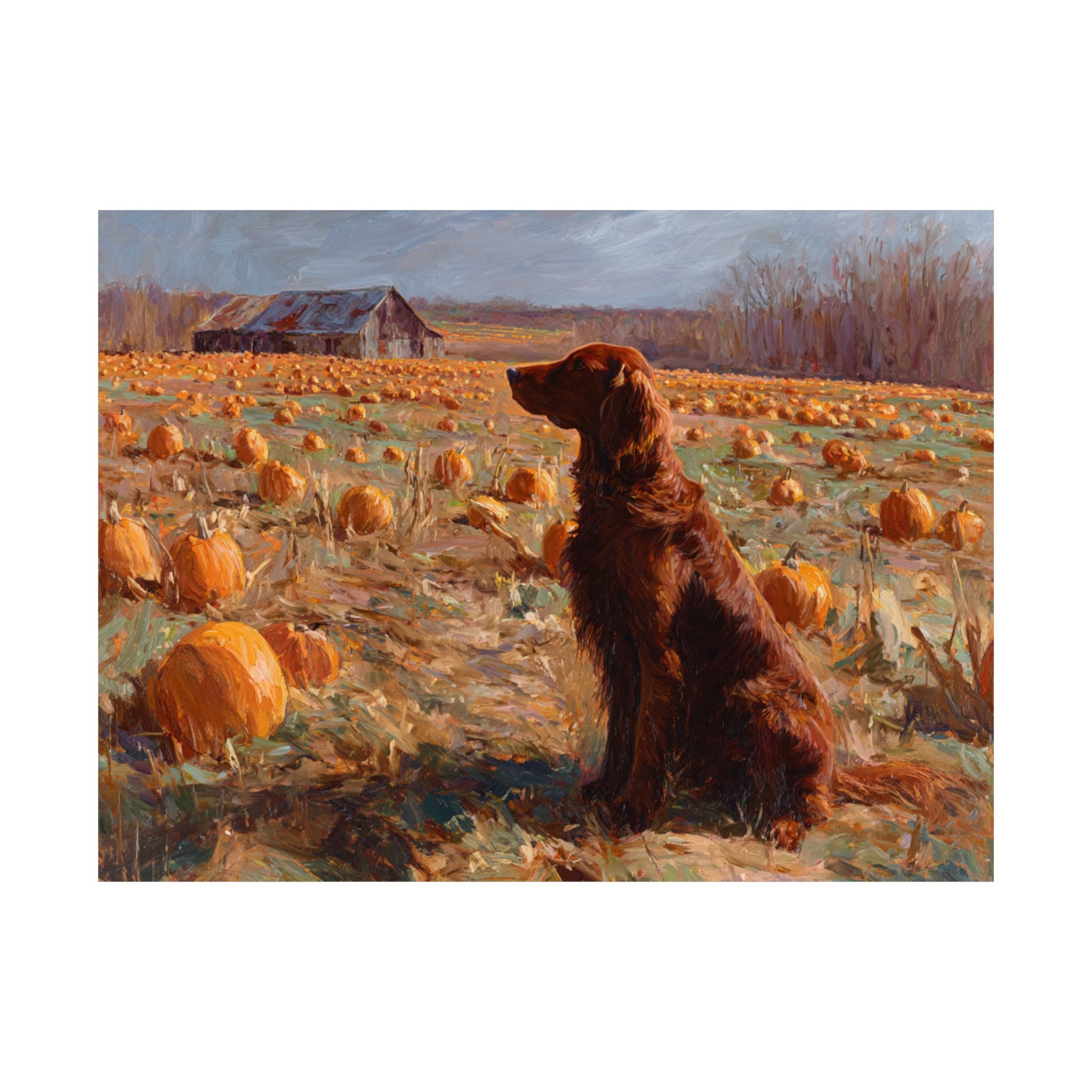 Irish Setter 2- Pumpkin Patch Collection