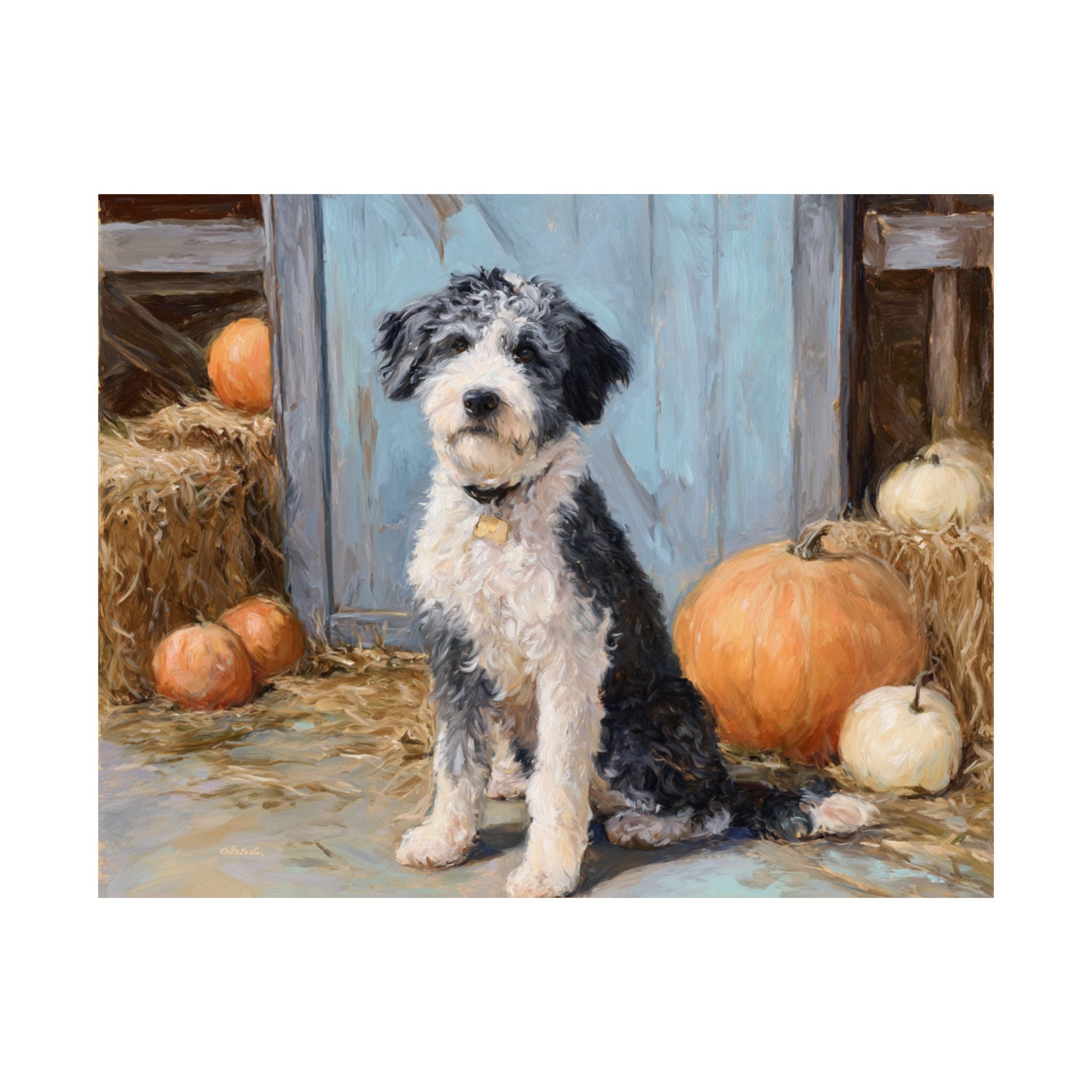 Aussiedoodle 1- Pumpkin Patch Collection