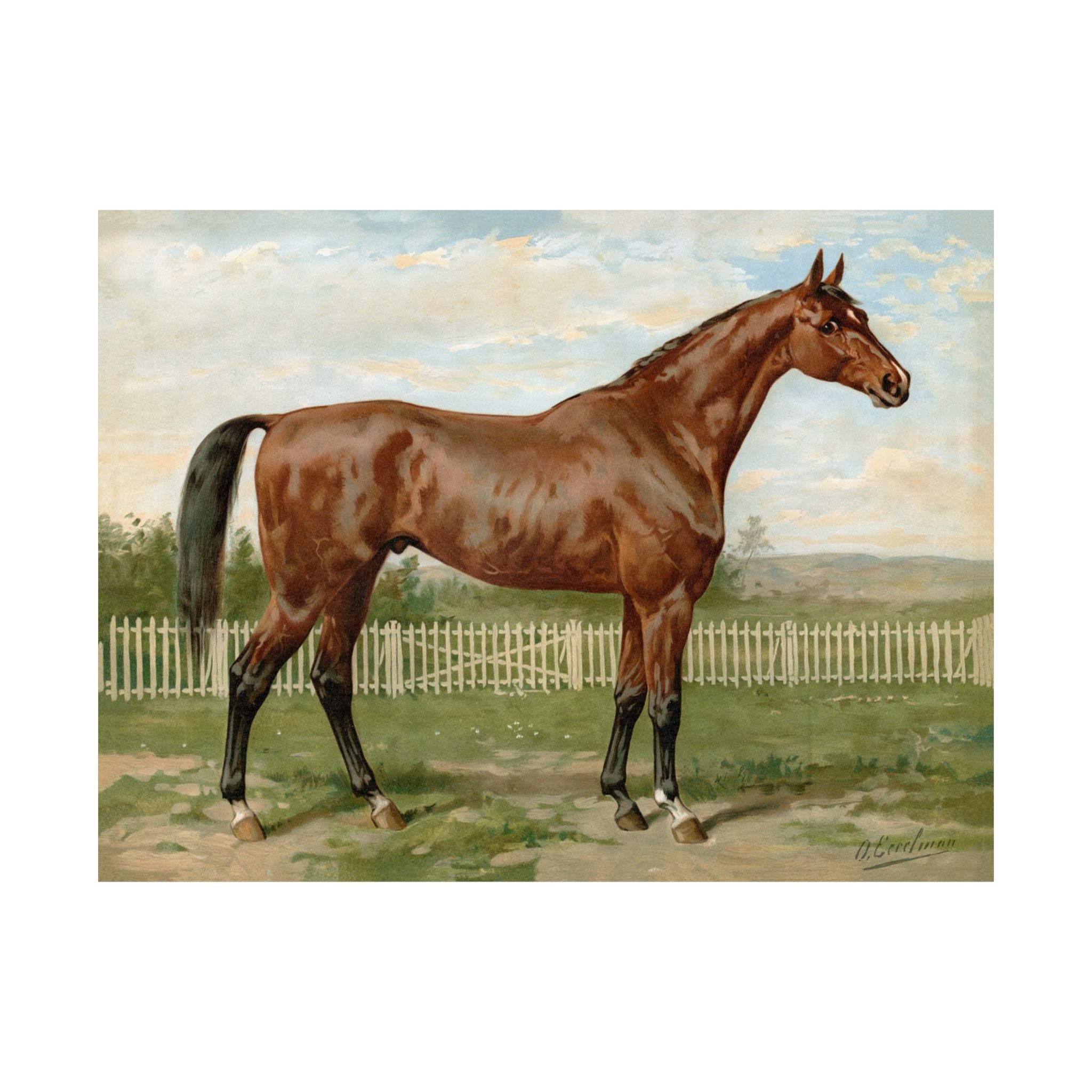 English Fullbred Horse- Eerelman Collection