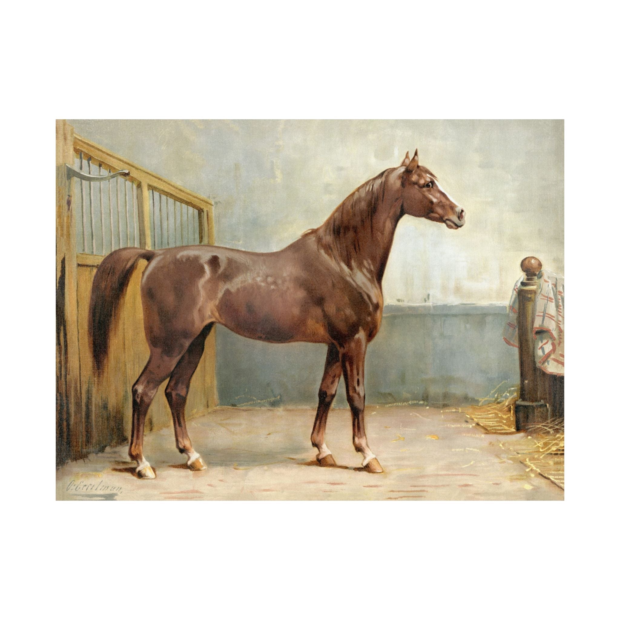 Hanovarian Horse- Eerelman Collection